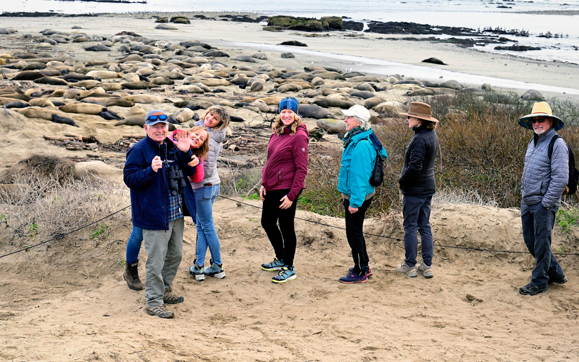 Elephant Seals are huge and move deceptively fast, so visitors must maintain their distance