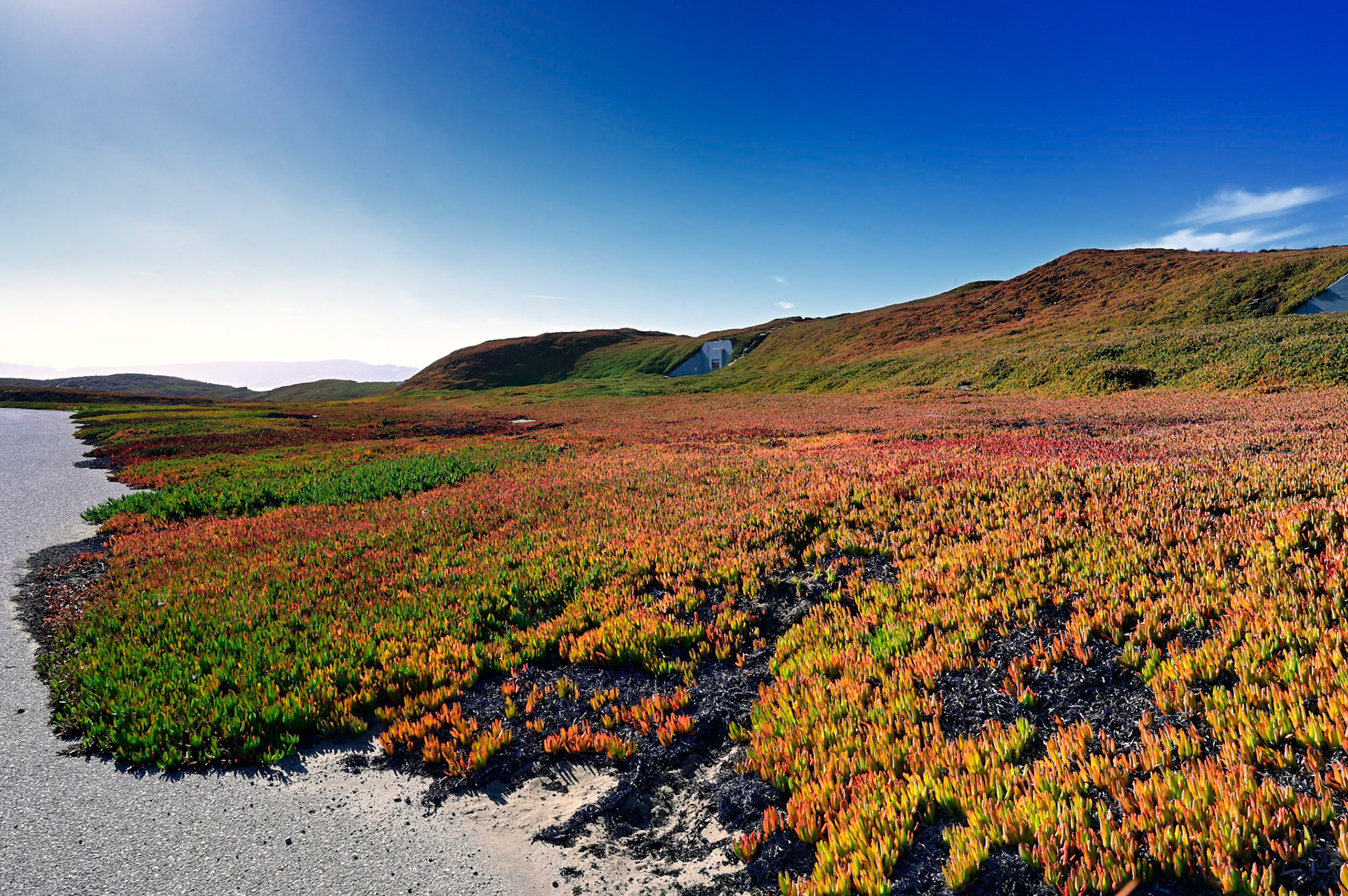 Fort Ord Dunes State Park