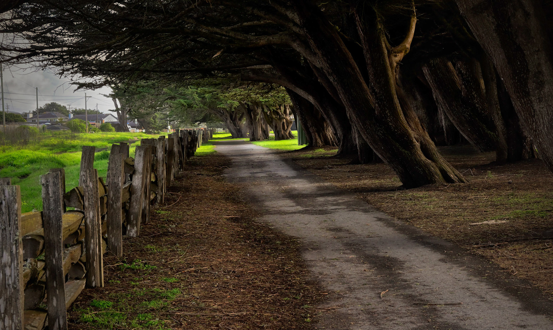 Half Moon Bay Coastside Trail