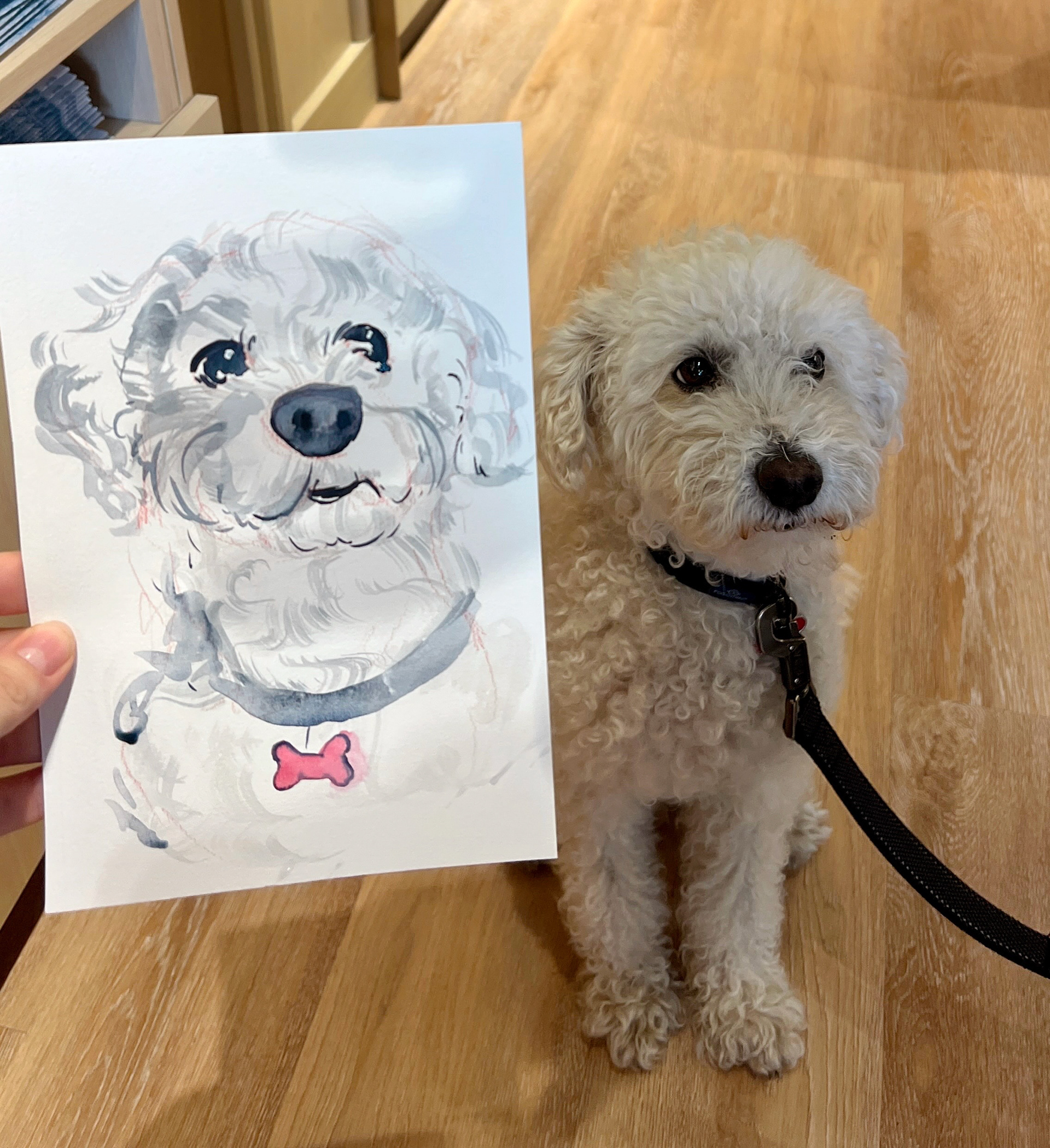 Pet illustration - Summer Voelker