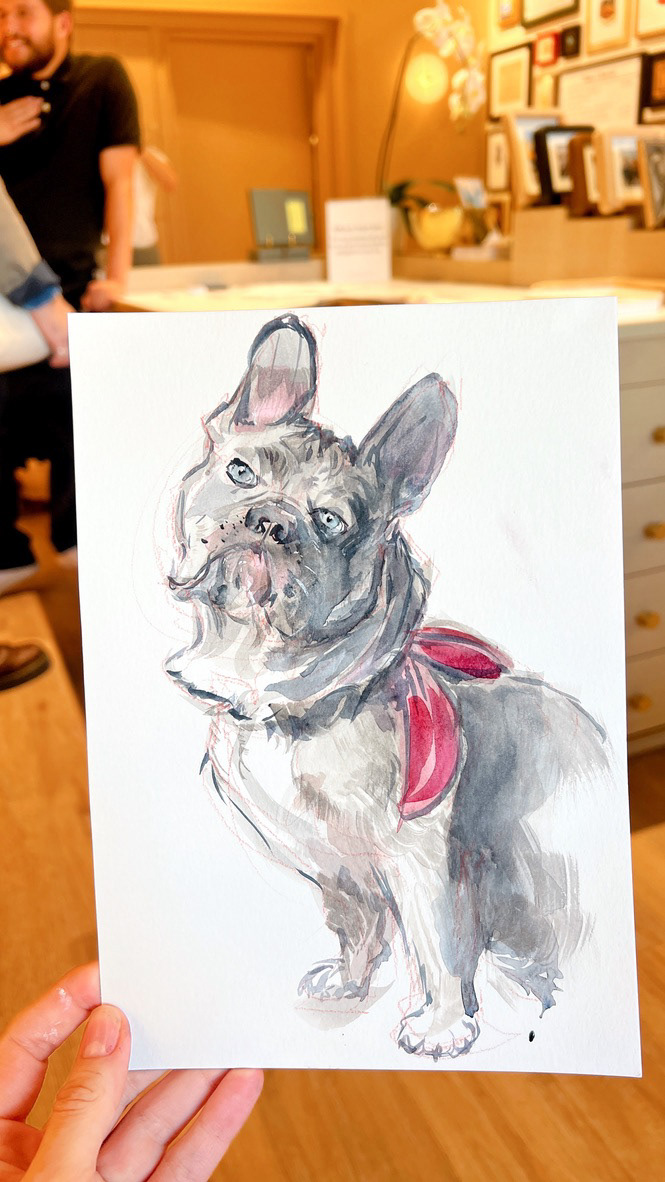 Pet illustration - Summer Voelker