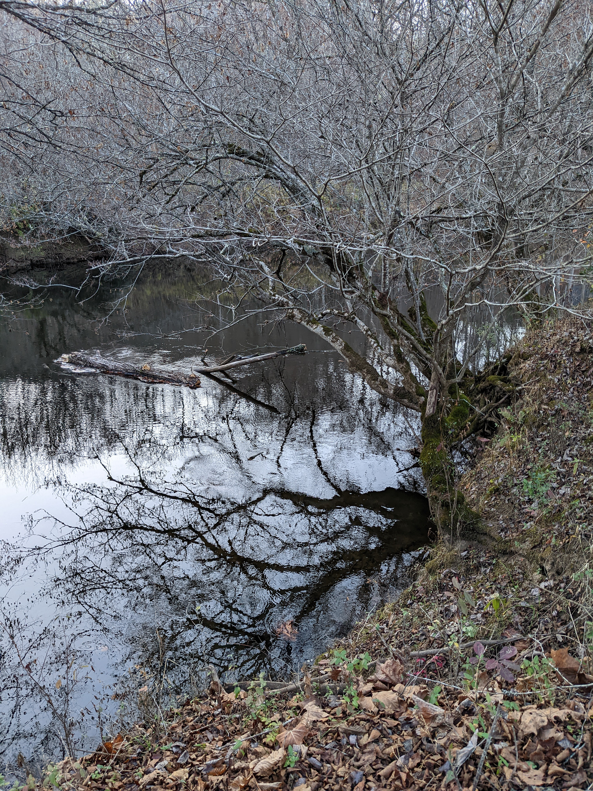 "November, Little Tennessee River"