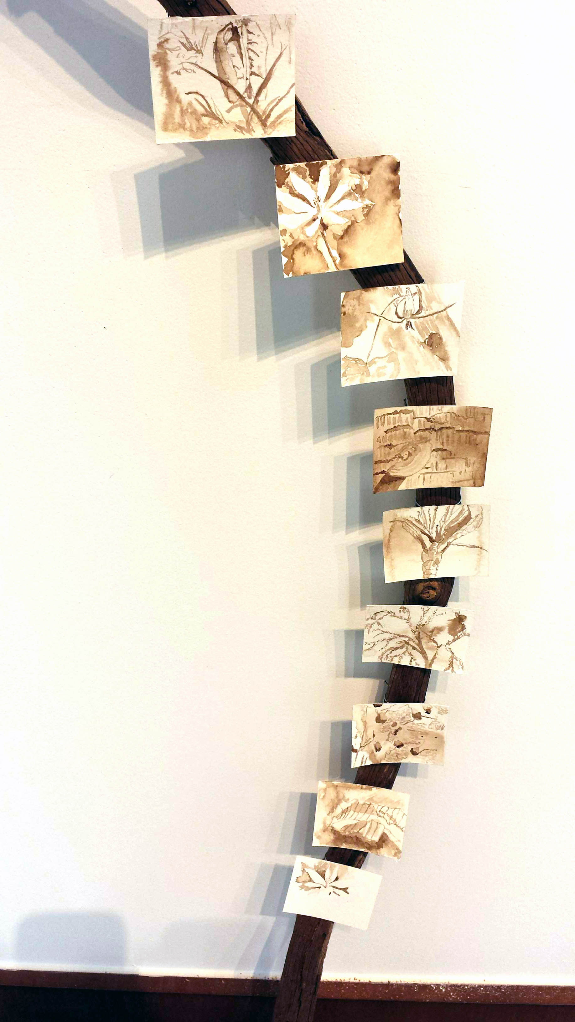 Detail, Treasure Trials (Walnut ink sketches)