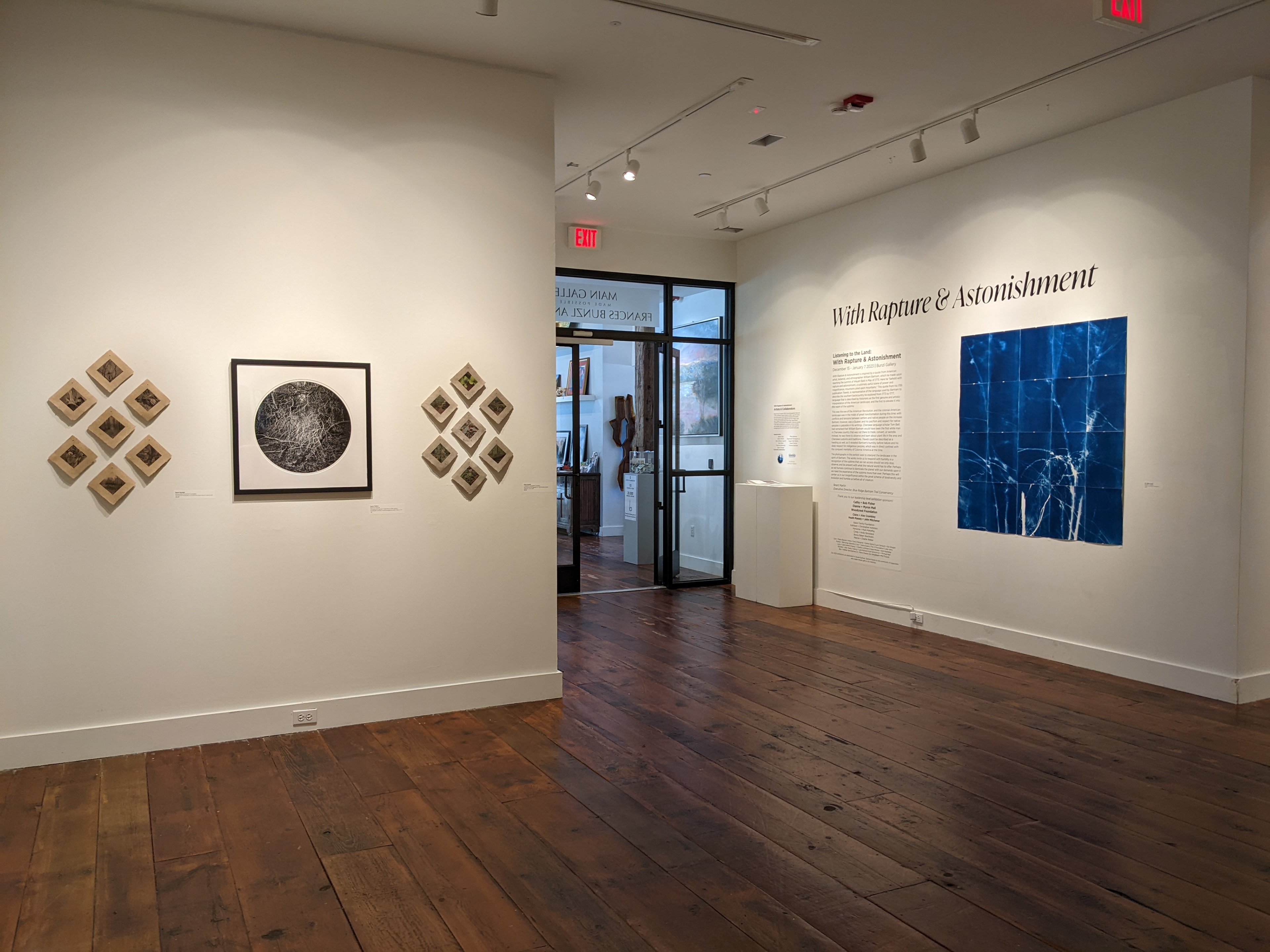 Installation view: Edneyville-Chestnut Complex and Cullasaja-Tuckaseege Complex. Circular image between septets by Susan Patrice. Cyanotype by Eric William Carroll.
