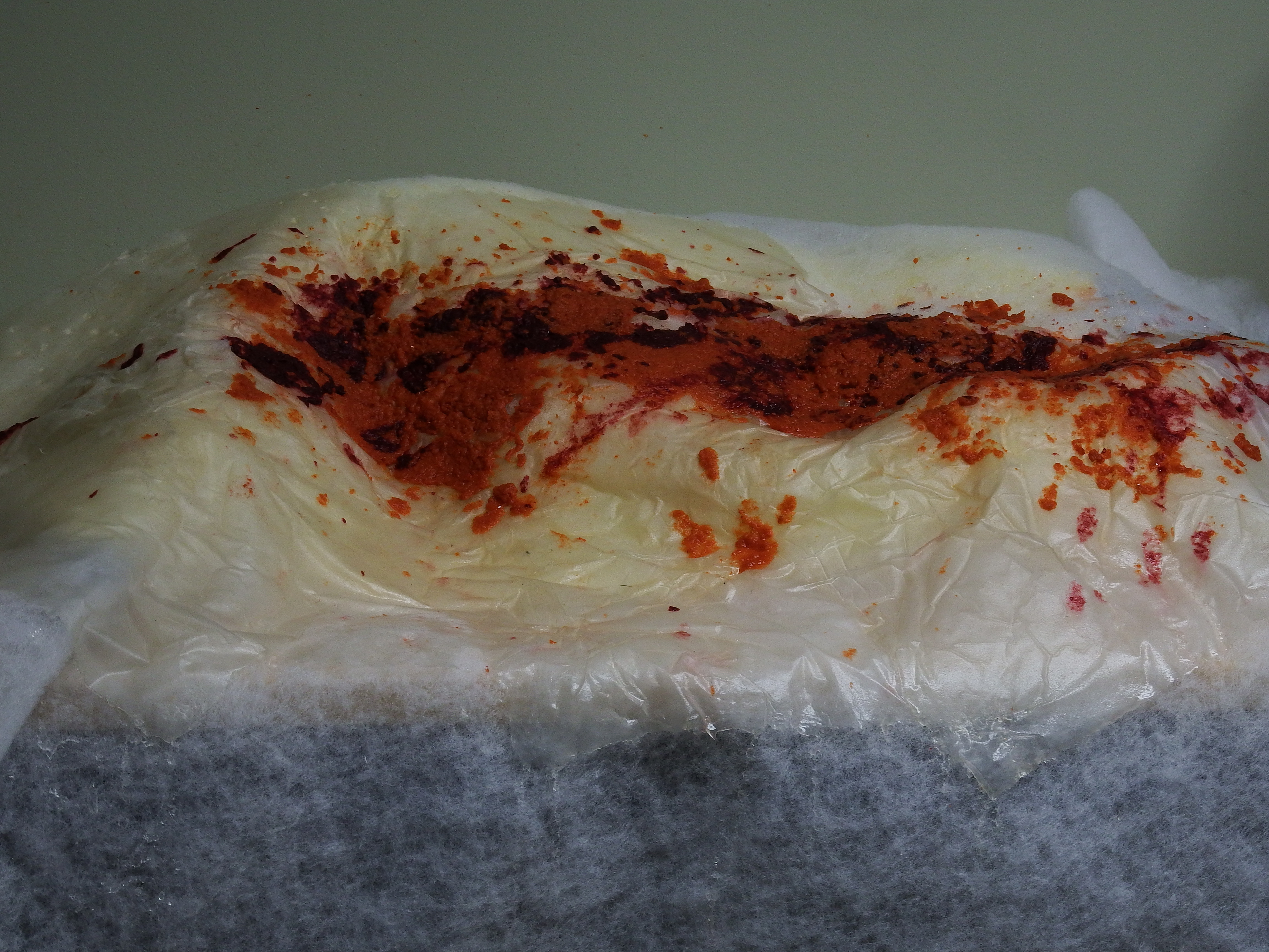 Pigment experiments
