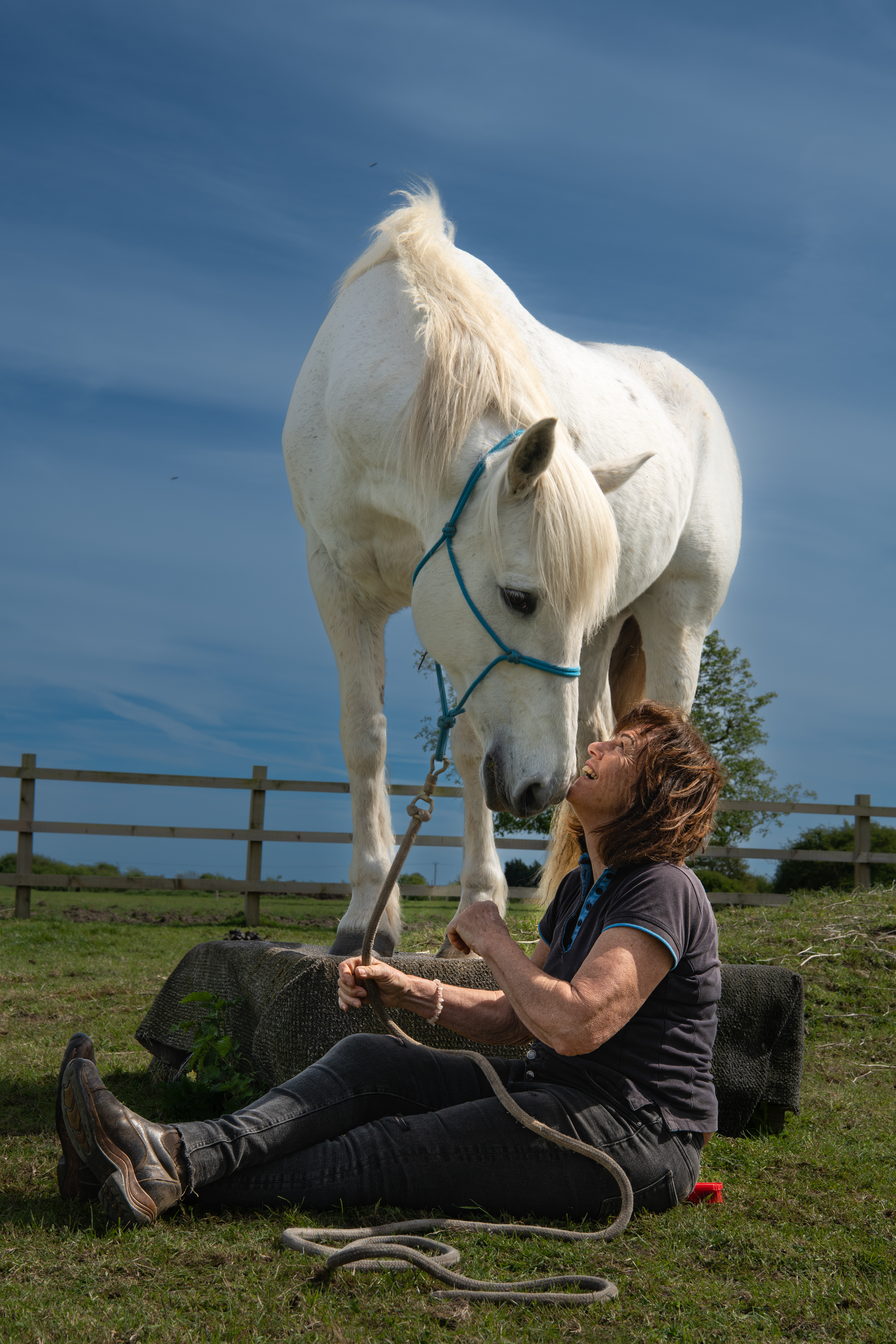 Equestrian Behavioural Specialist