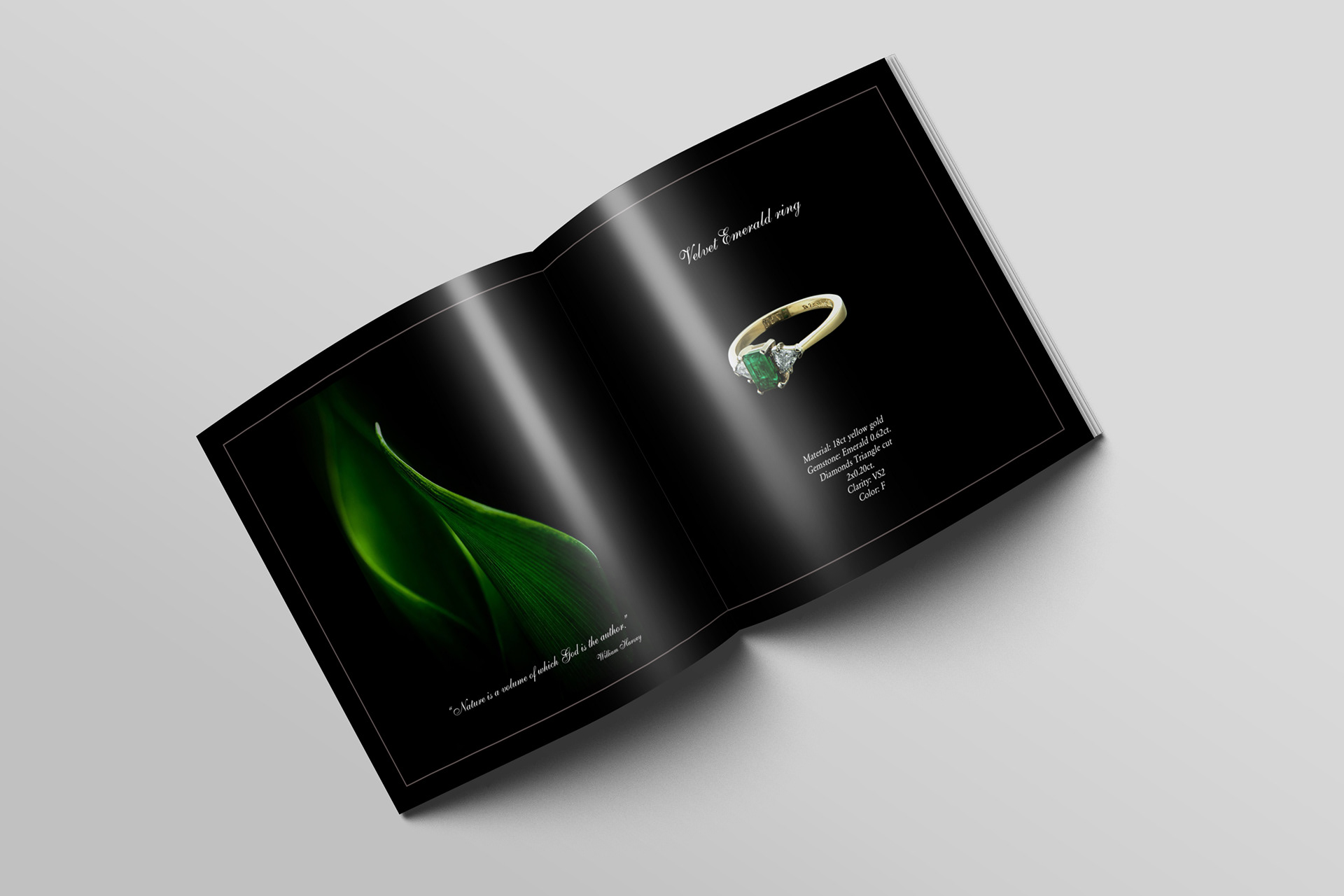 Booklet for Virtuosa Jewels