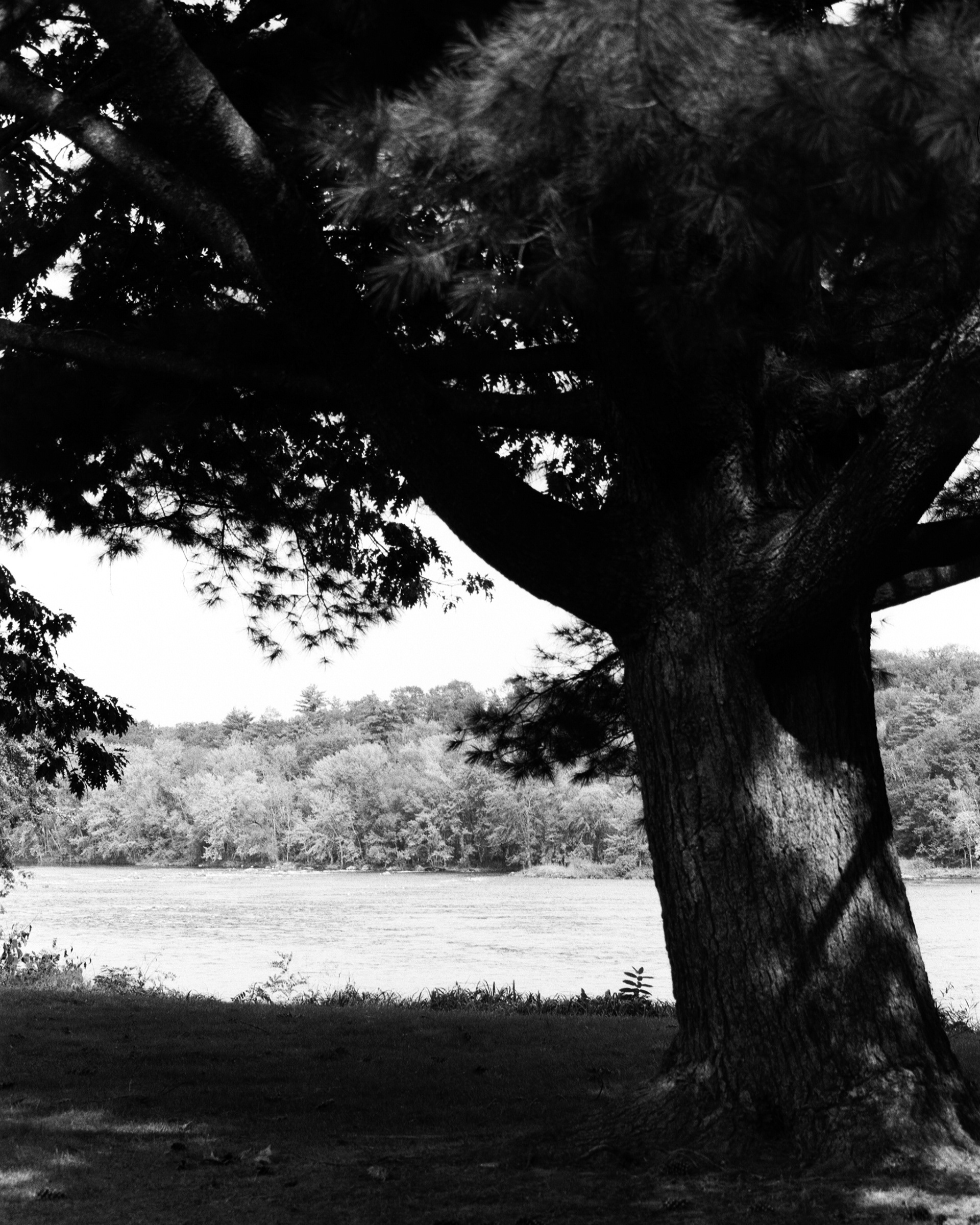 Kennebec River; September 23, 2023