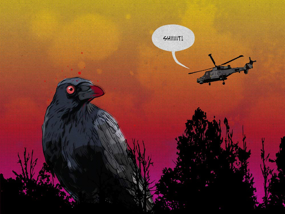 The Crow And The Attack Helicopter / 2020