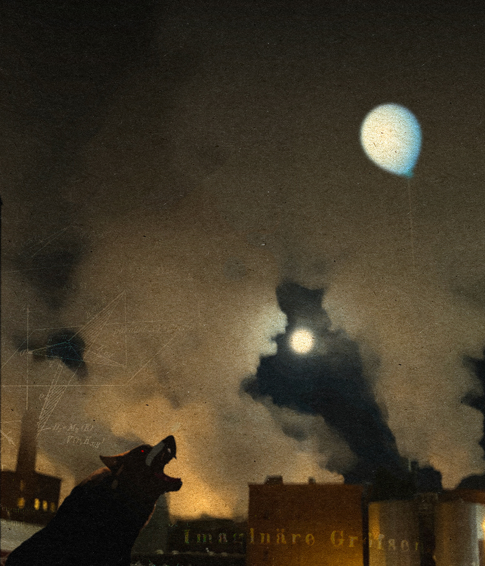 Bark at the Balloon / 2024