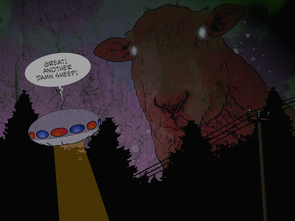 The Silent Lamb / 2020