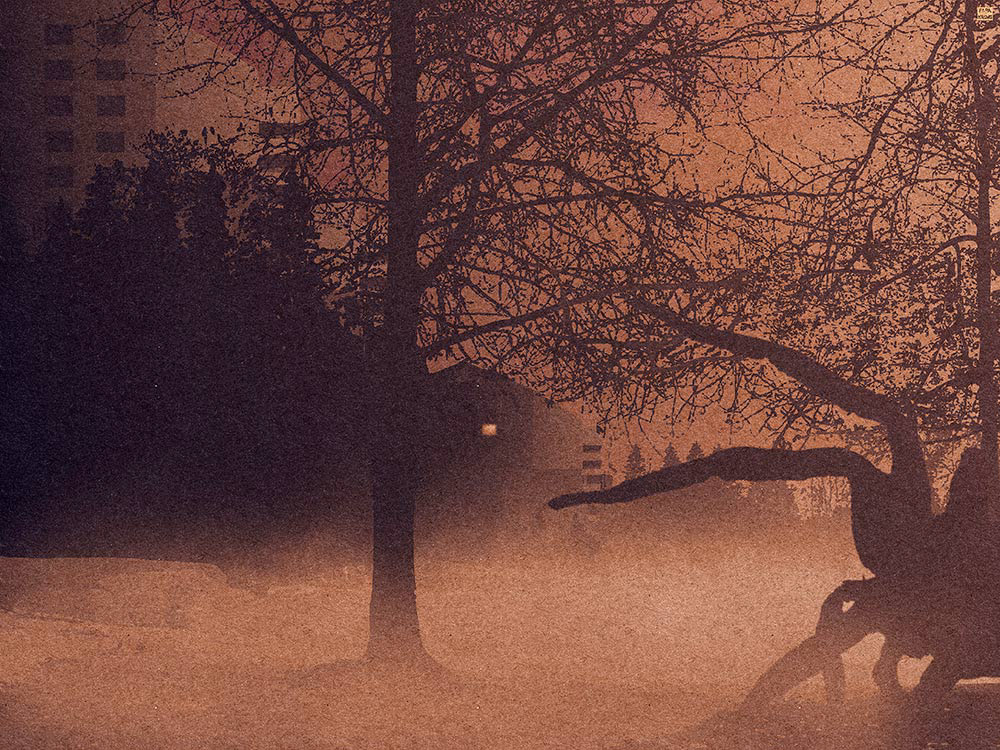 The Creeping Fog / 2021