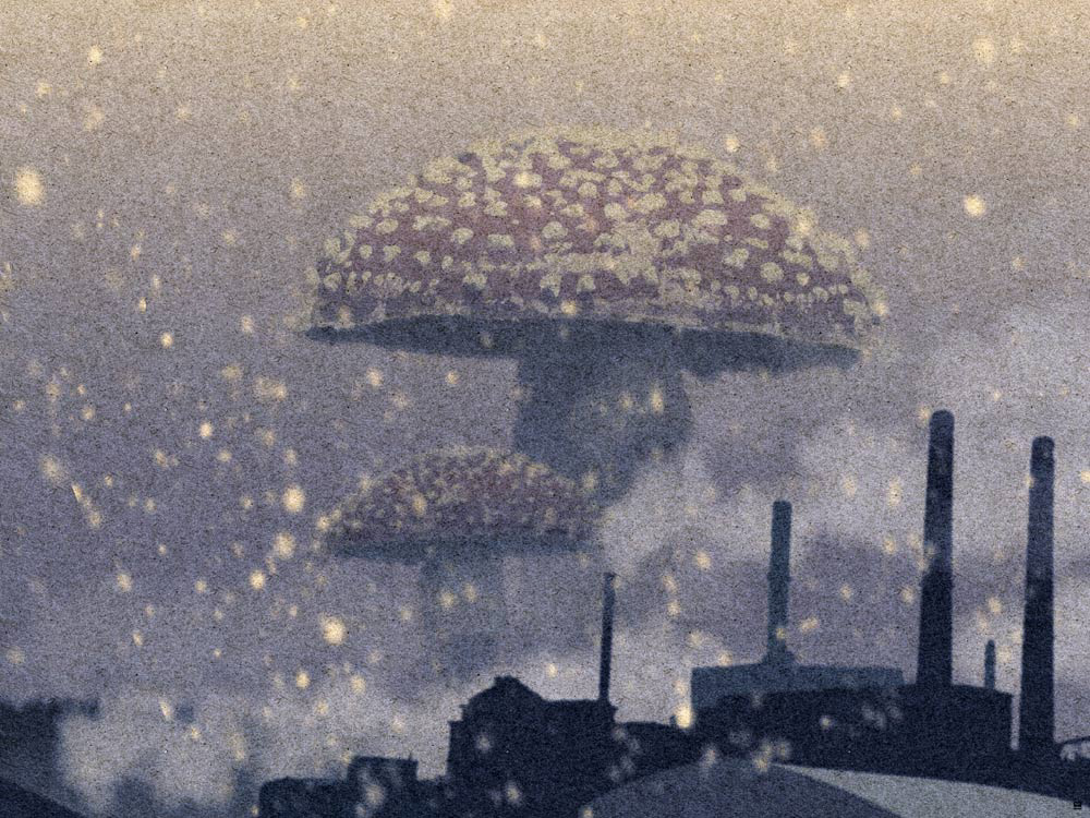 The Amanita Factory / 2022