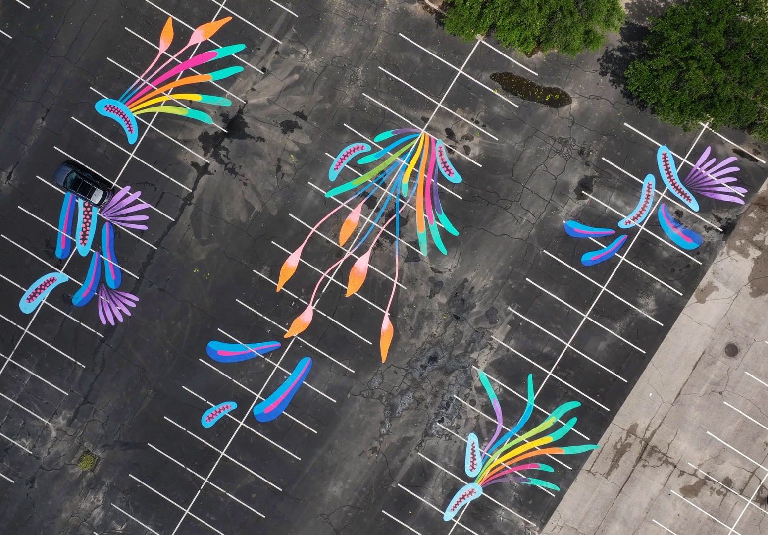 aerial drone footage photo of massive parking lot mural with microorganism and botanical designs in rainbow colors
