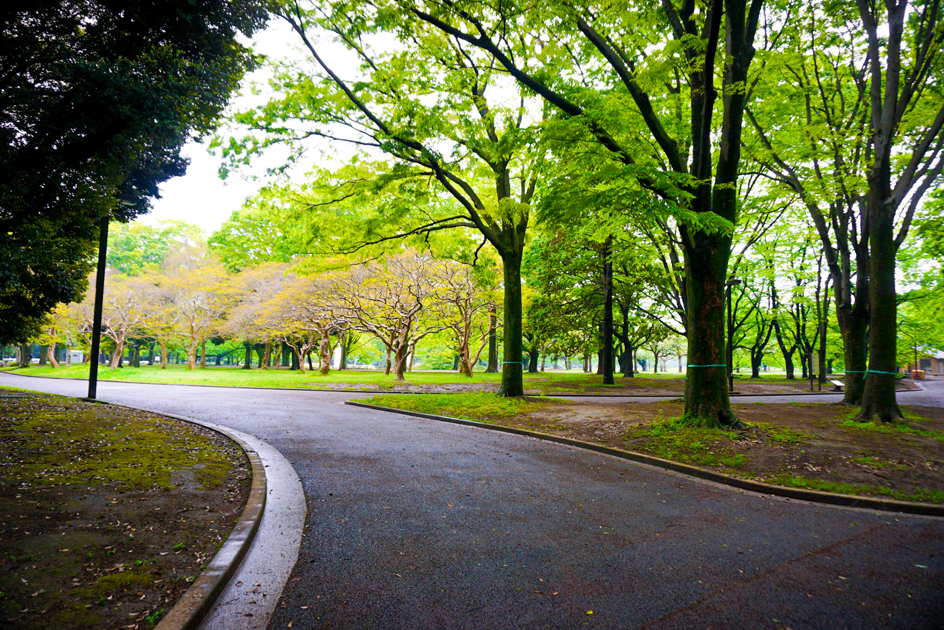 Tokyo (Japan) | May 2019