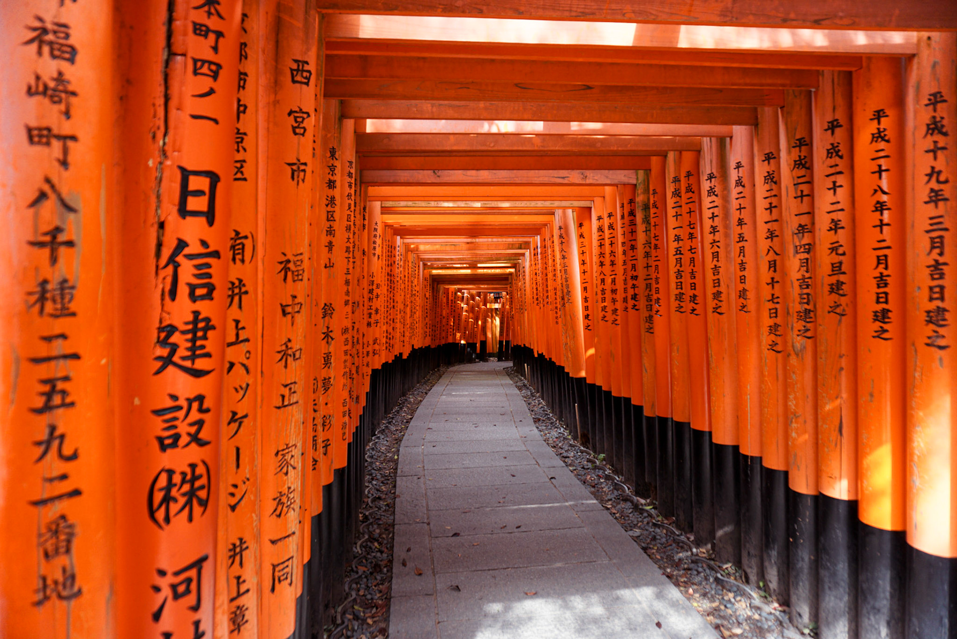 Fushimi Inari Taisha, Kyoto (Japan) | May 2019