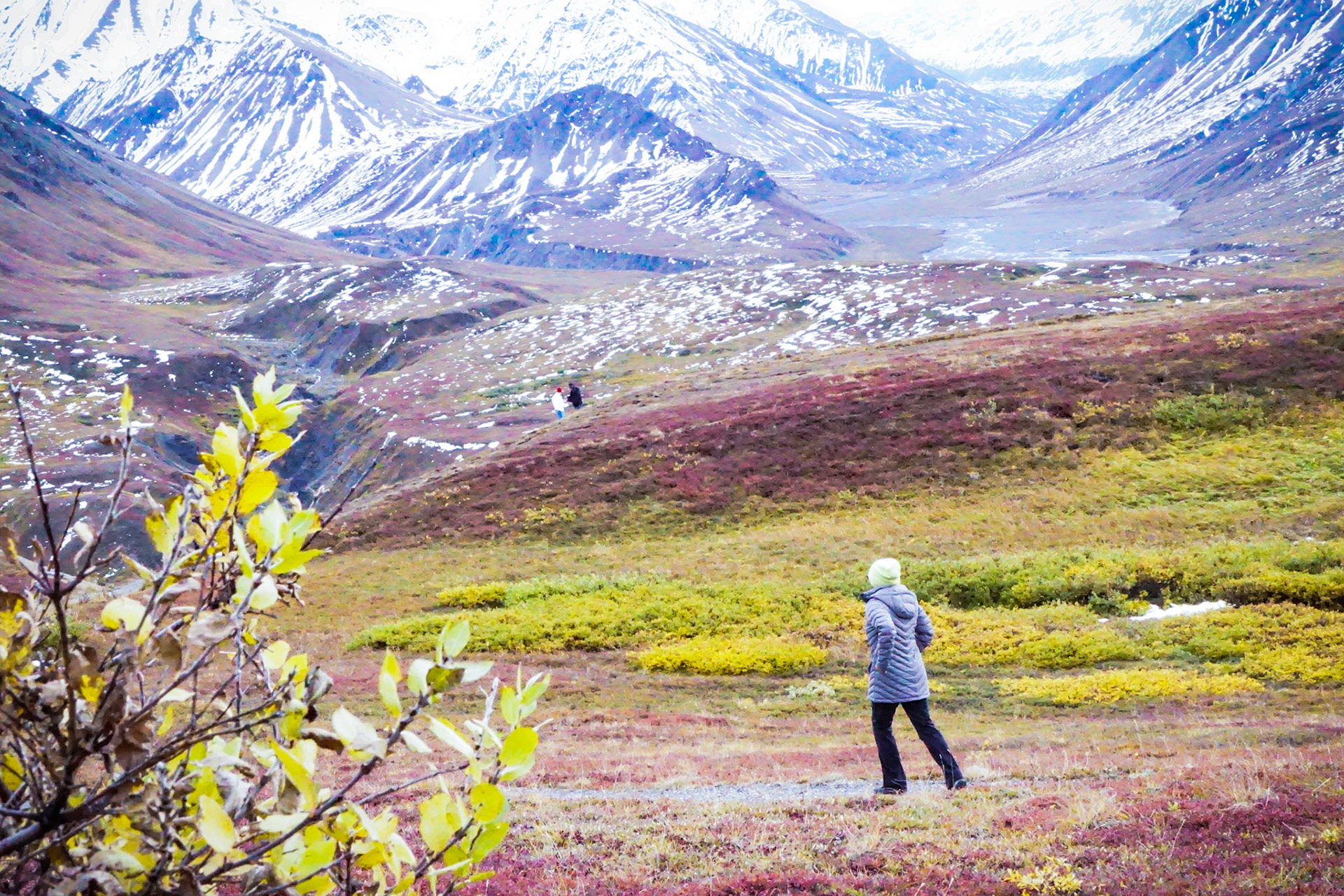 Running up the Hill @ Denali, Alaska | September 2015