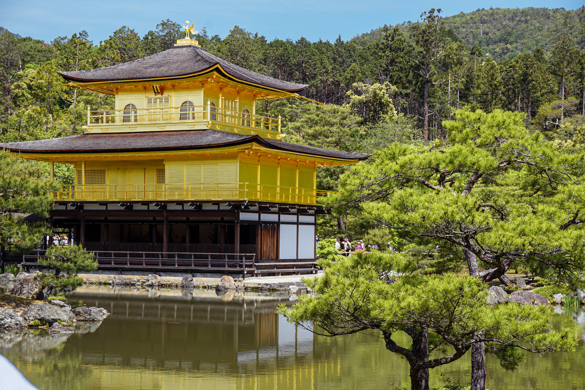 Kinkakuji Temple, Kyoto (Japan) | May 2019