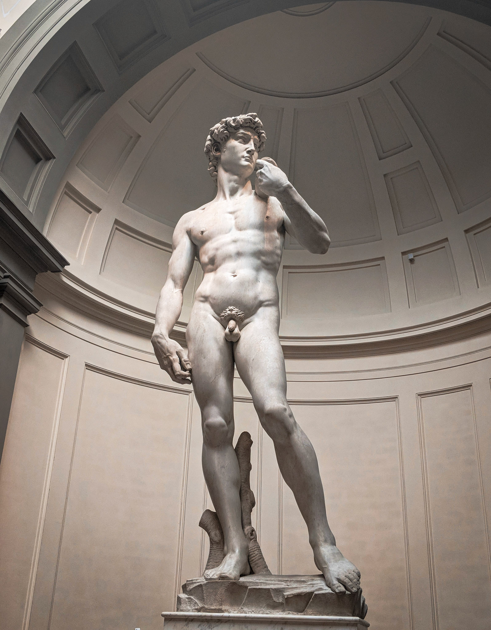 David @ Florence (Italy) | July 2018