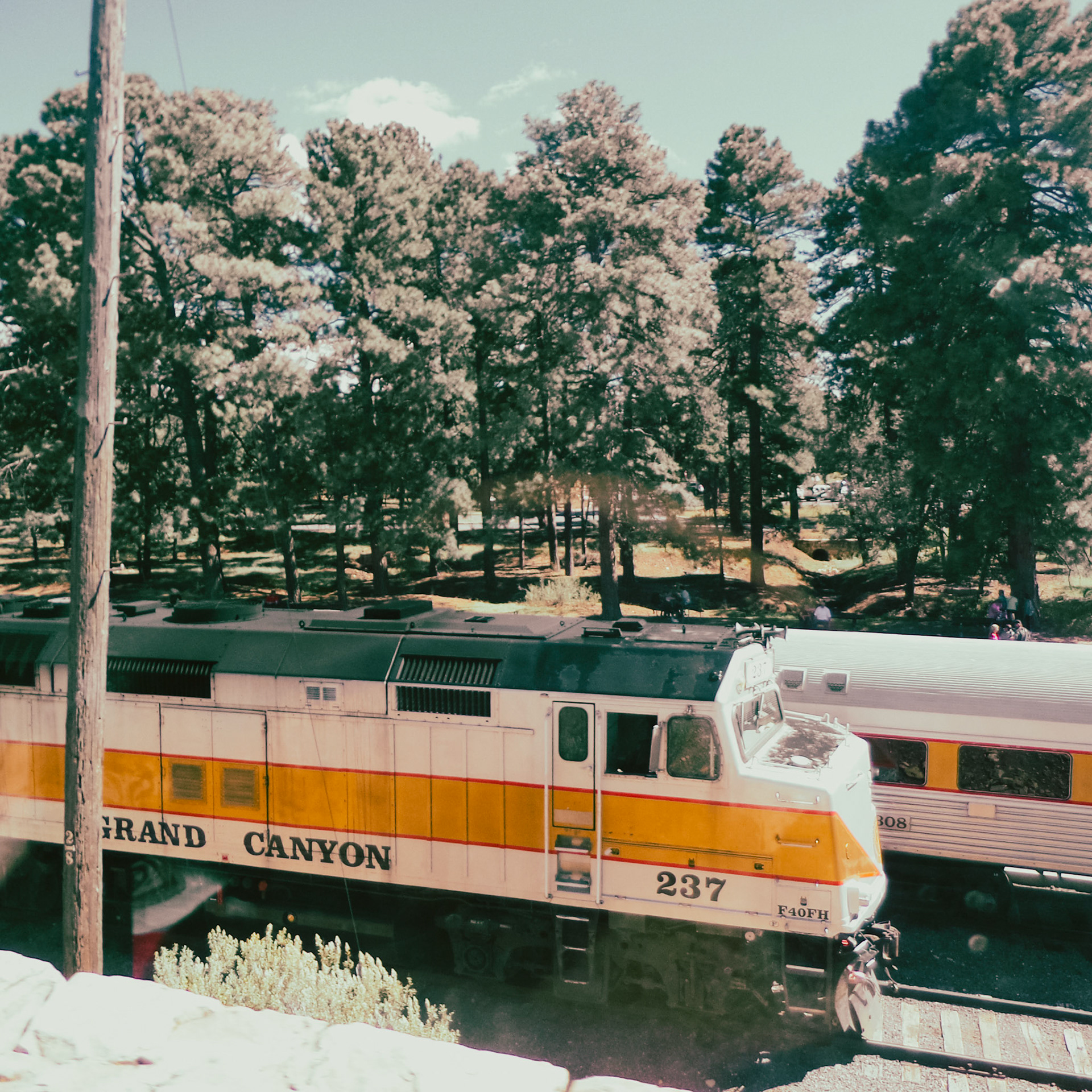 Trains from the Bus Window