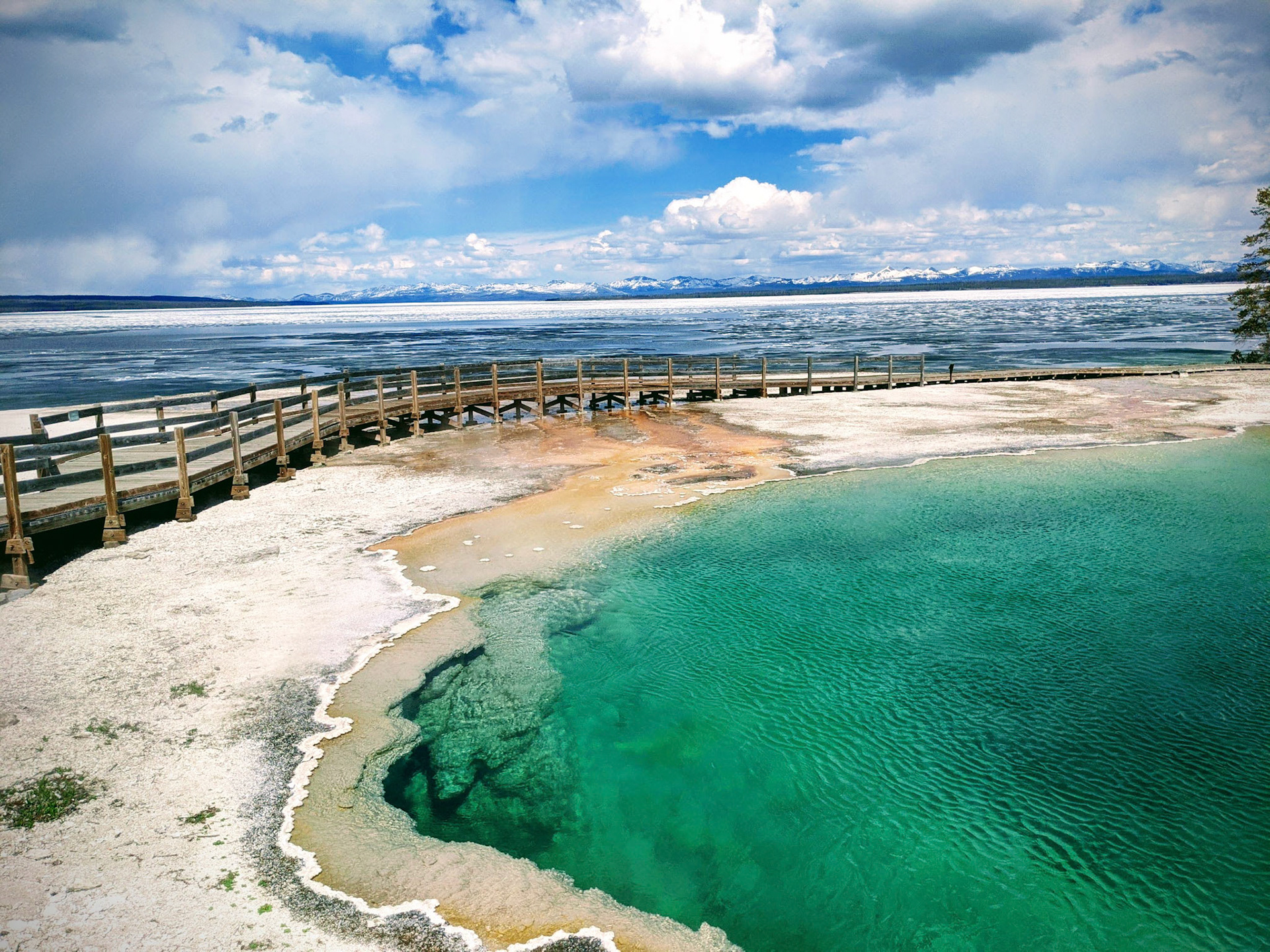 West Thumb Geyser, Yellowstone, WY (USA) | May 2021