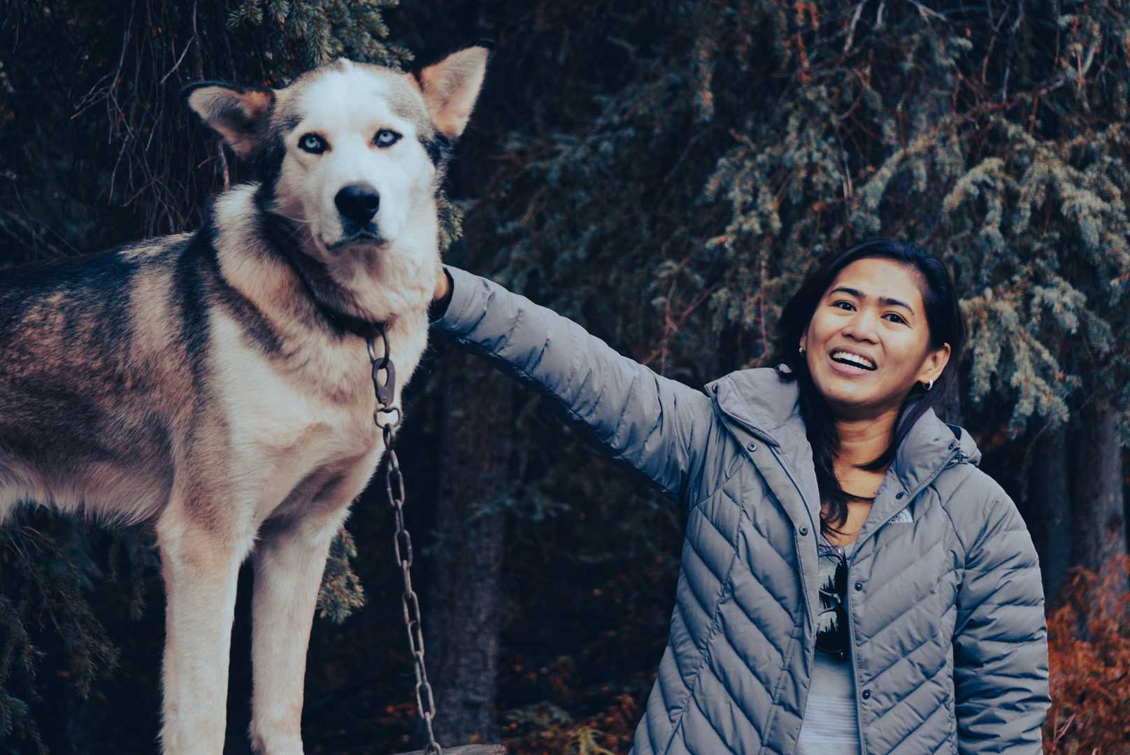 That face @ Denali, Alaska | September 2015