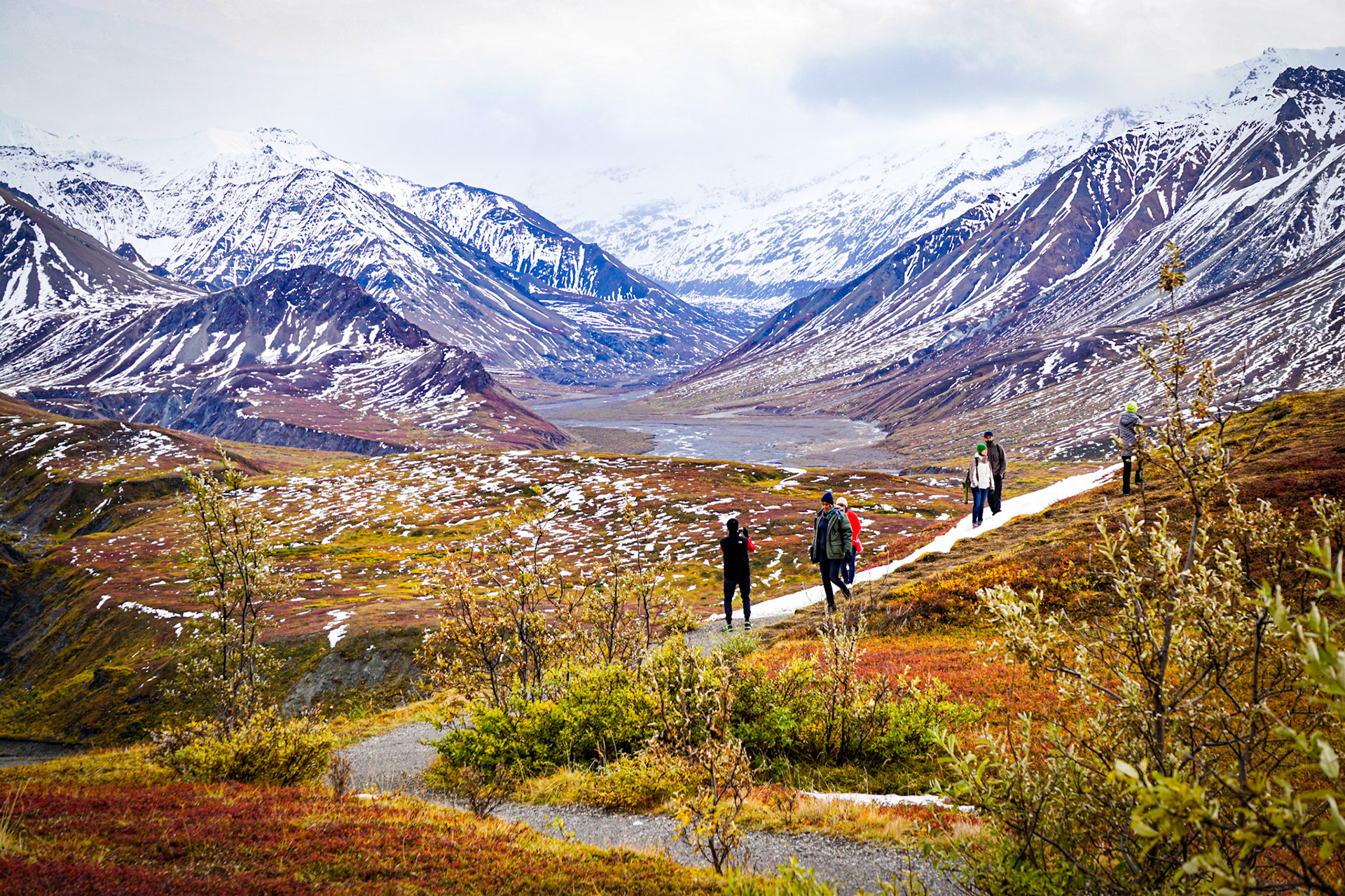 Denali, Alaska | September 2015
