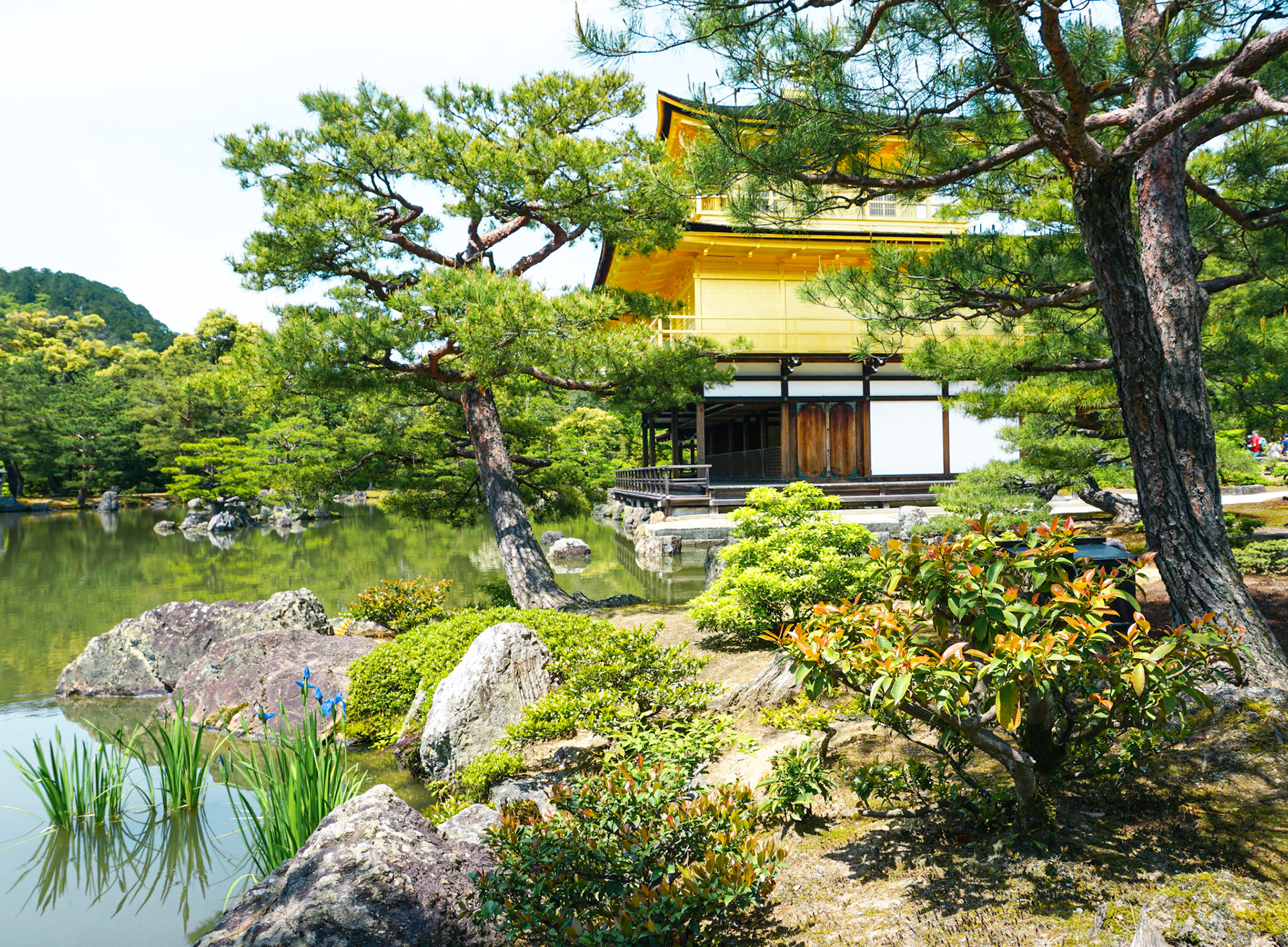 Kinkakuji Temple, Kyoto (Japan) | May 2019