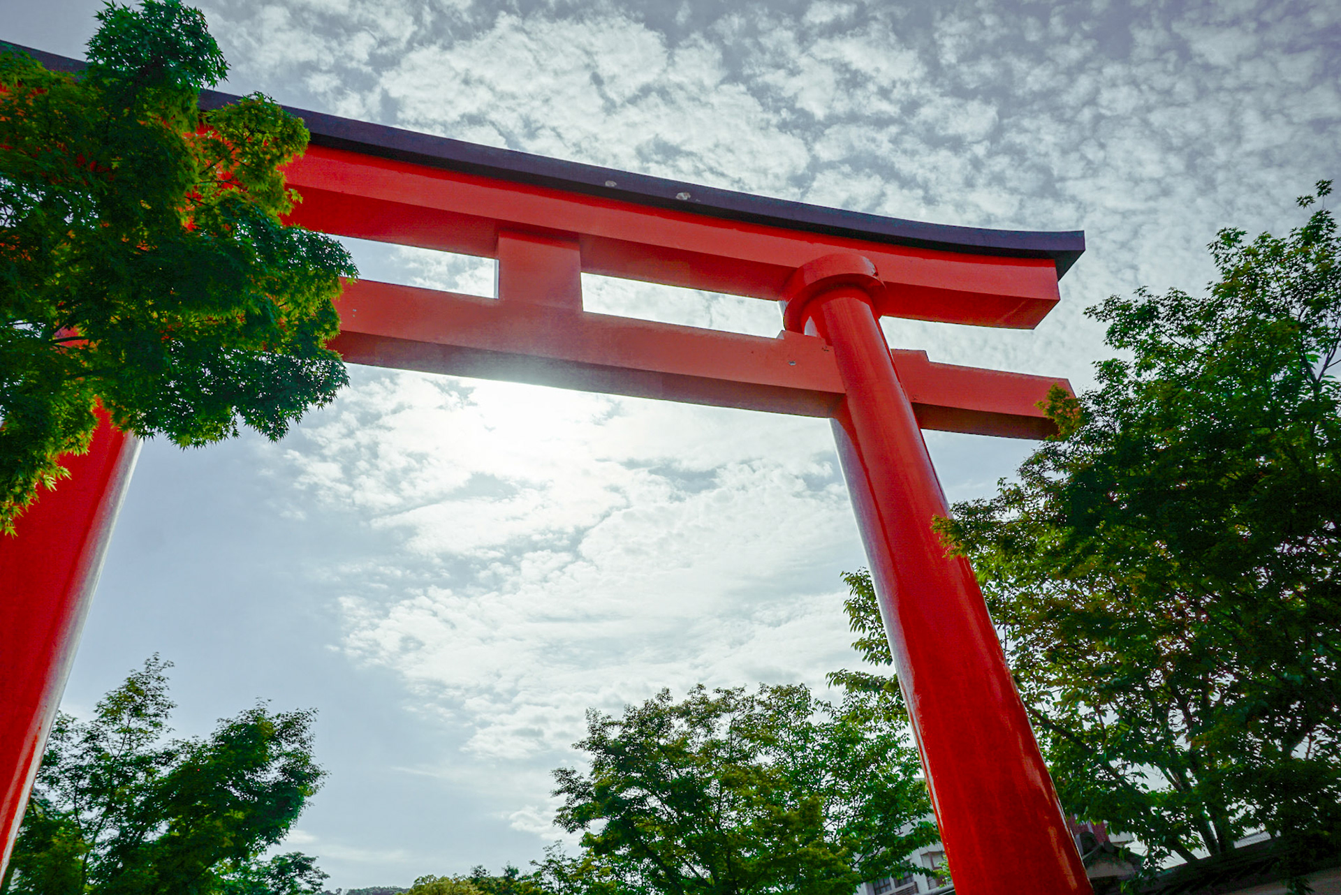 Fushimi Inari Taisha, Kyoto (Japan) | May 2019