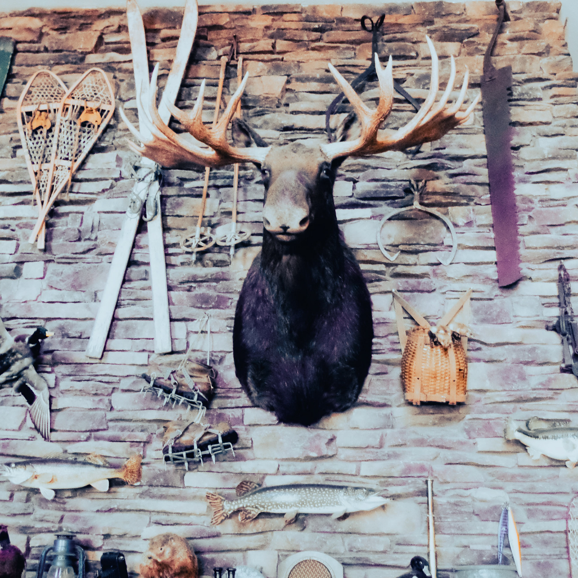 SAMSUNG CAMERA PICTURES