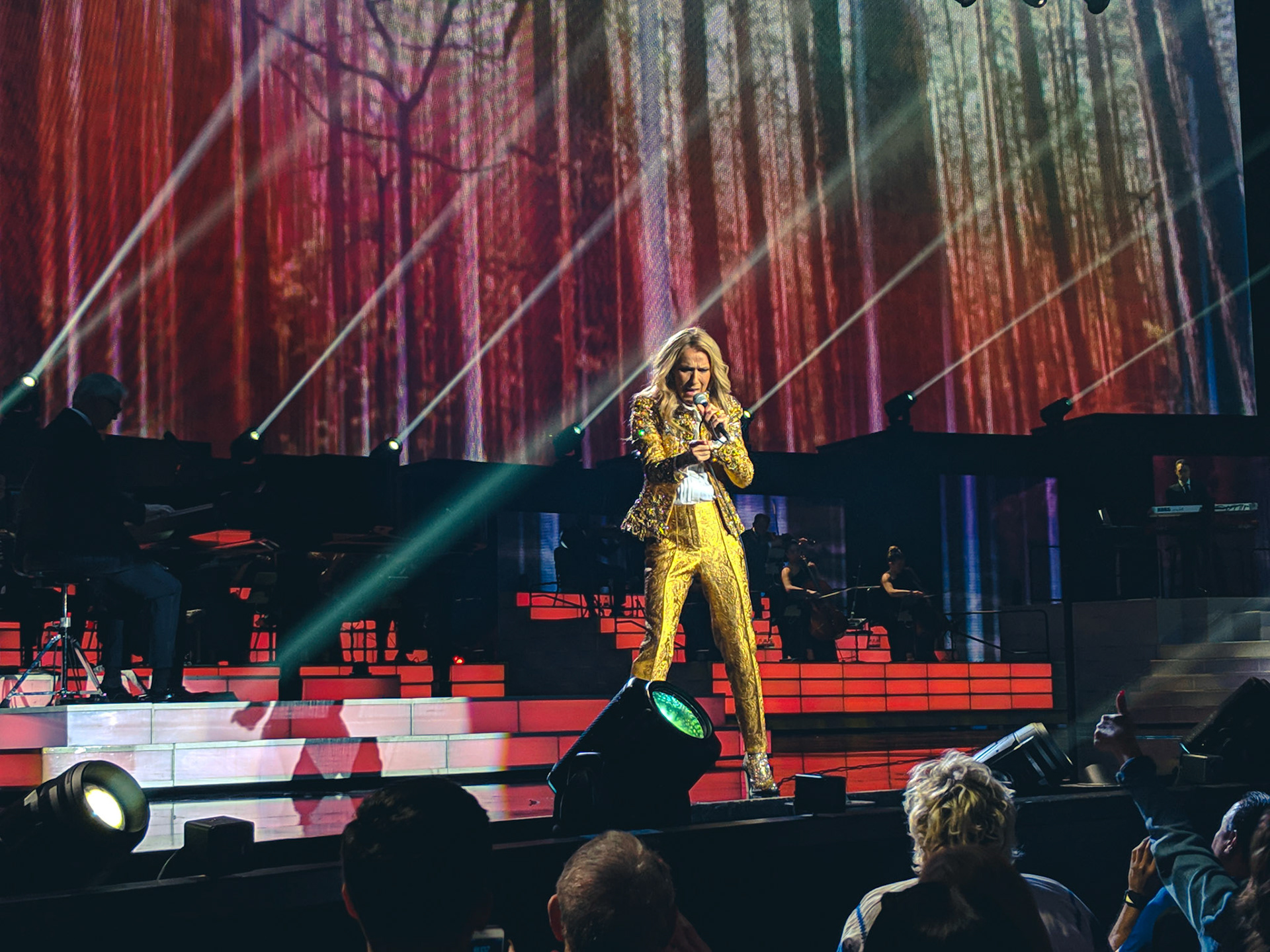 Best Seats with Celine Dion, Las Vegas | March 2019