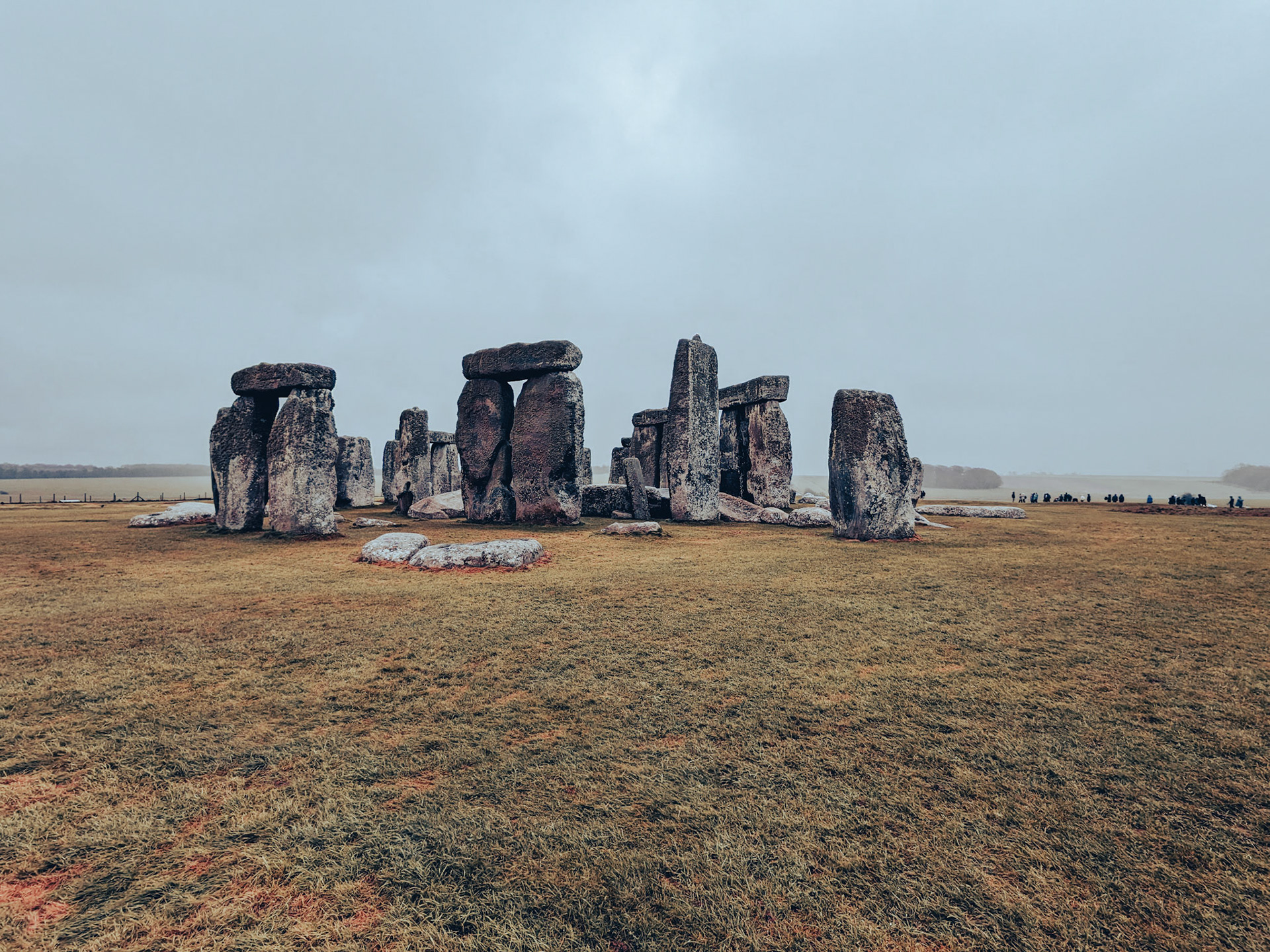 We've seen the Stones!