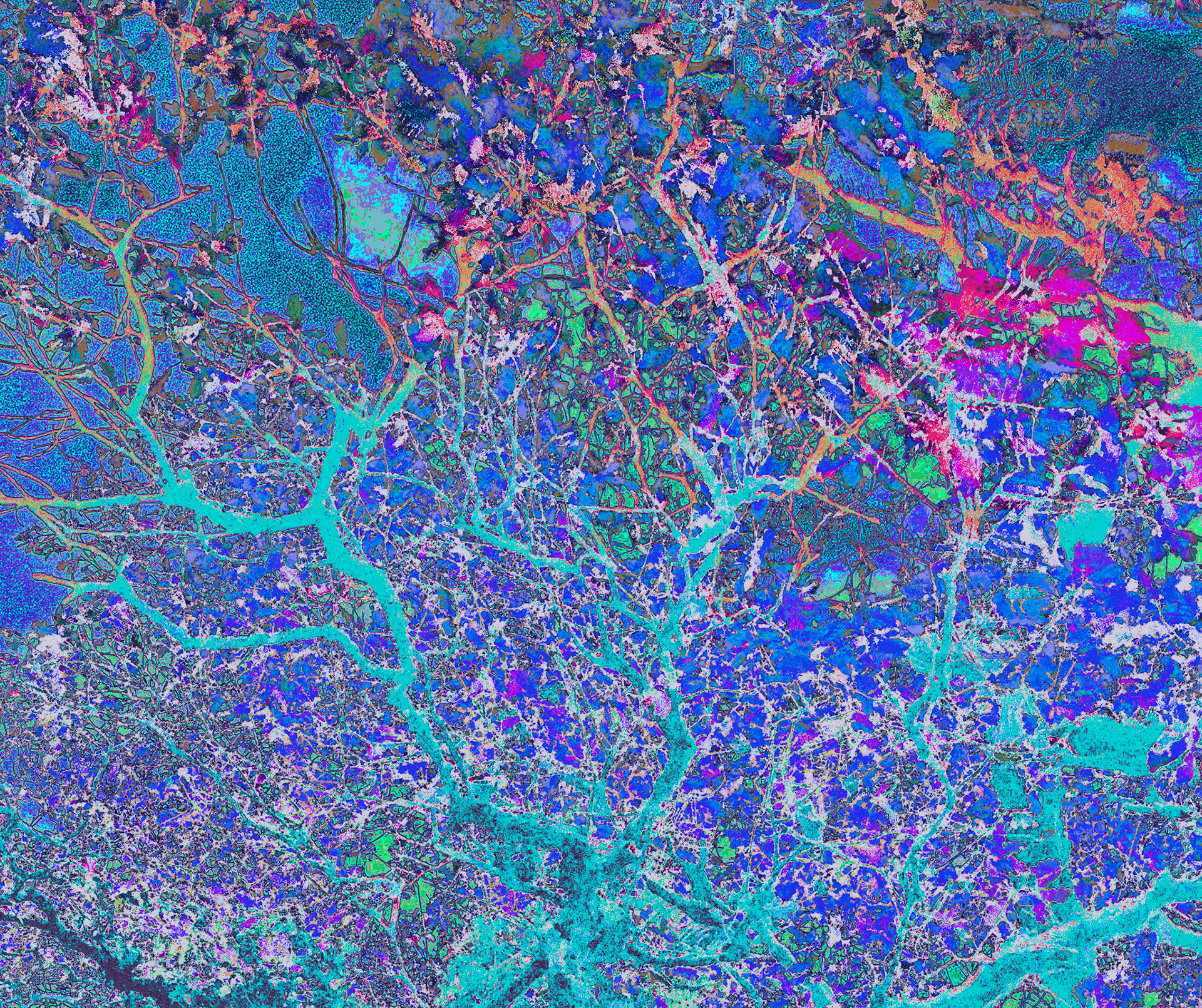 IMG_7778 - Version 2