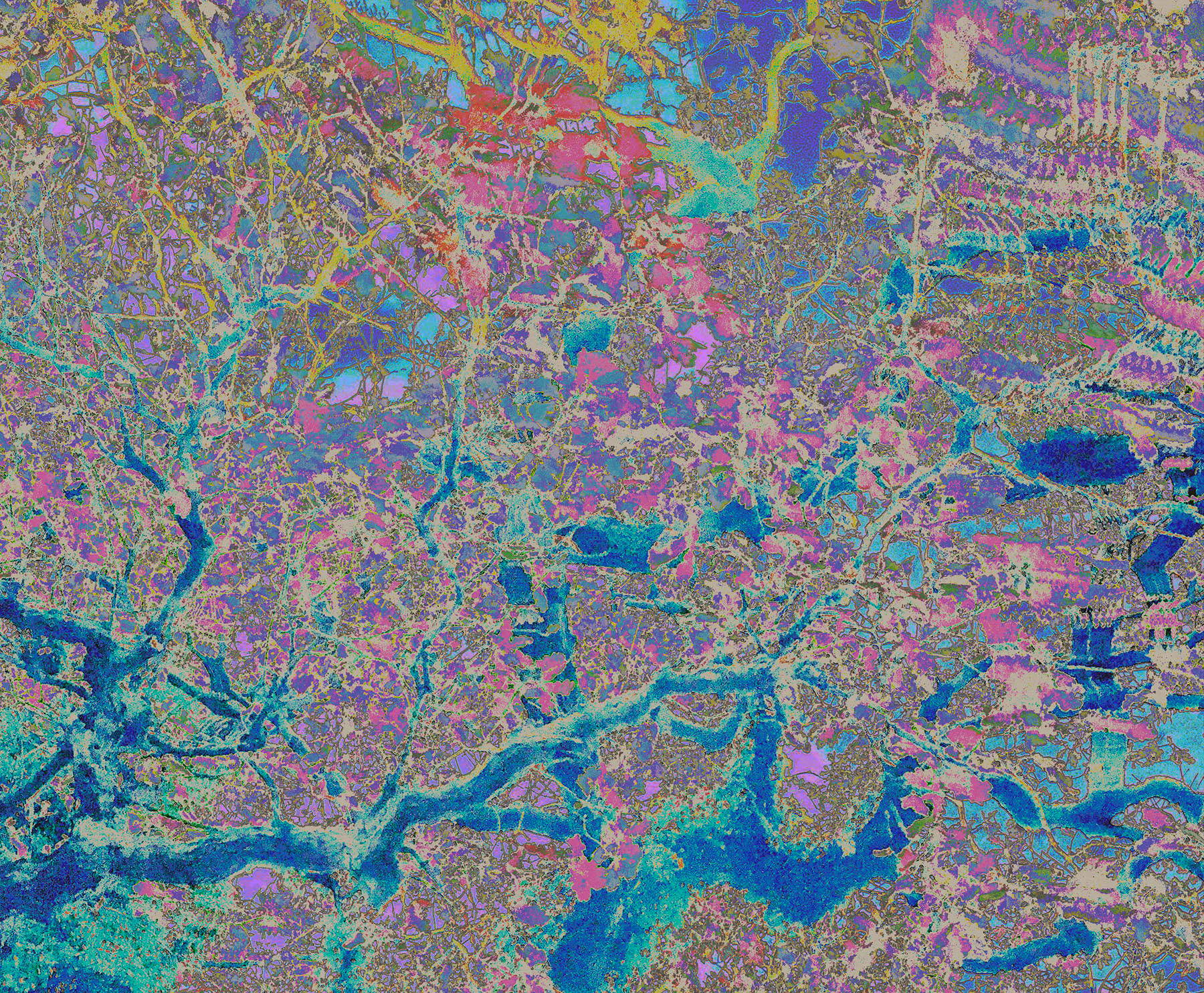 IMG_7778 - Version 2