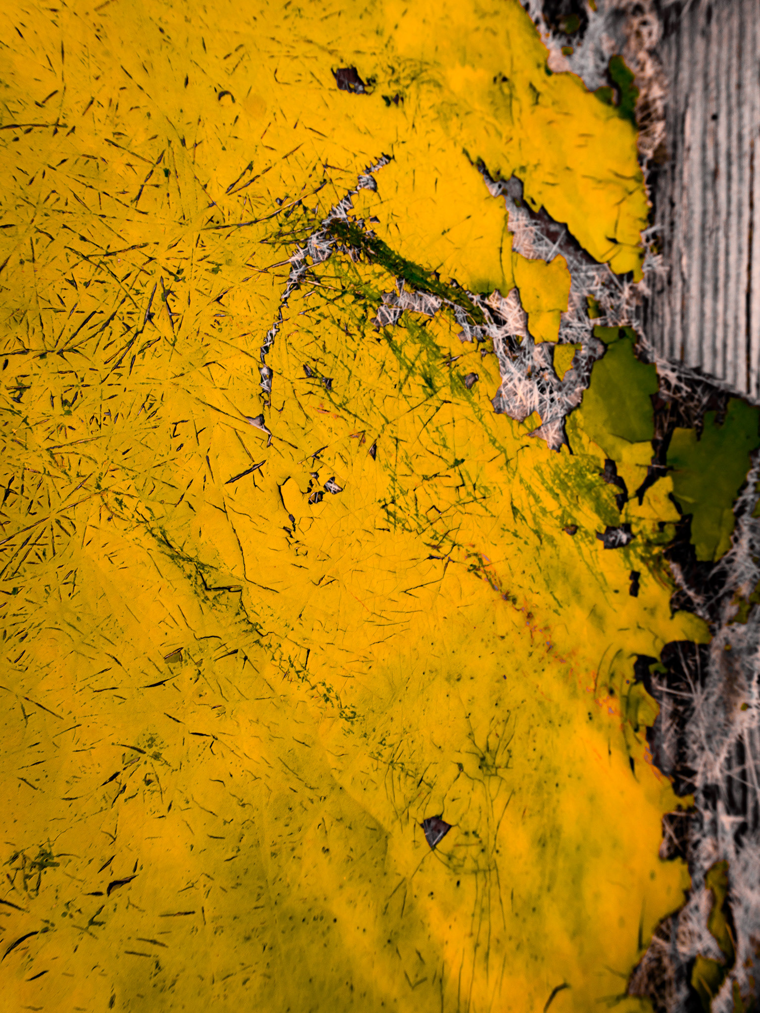 Boat Skin IV — Yellow Erosion