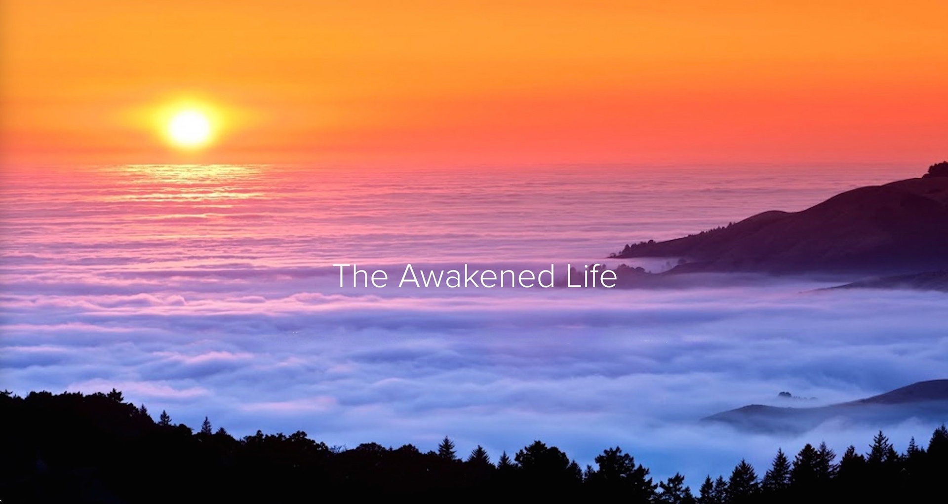 The Awakened Life