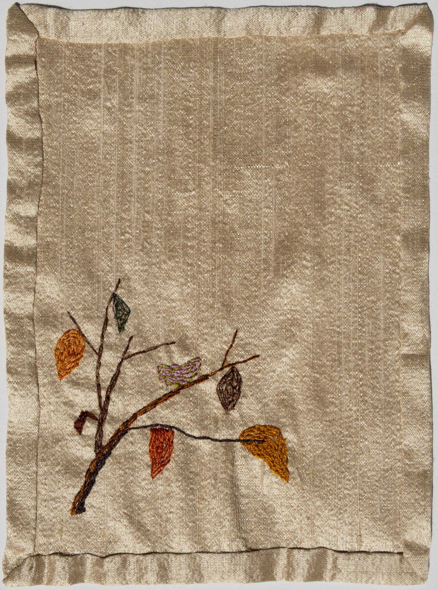 Kousa Dogwood Branch