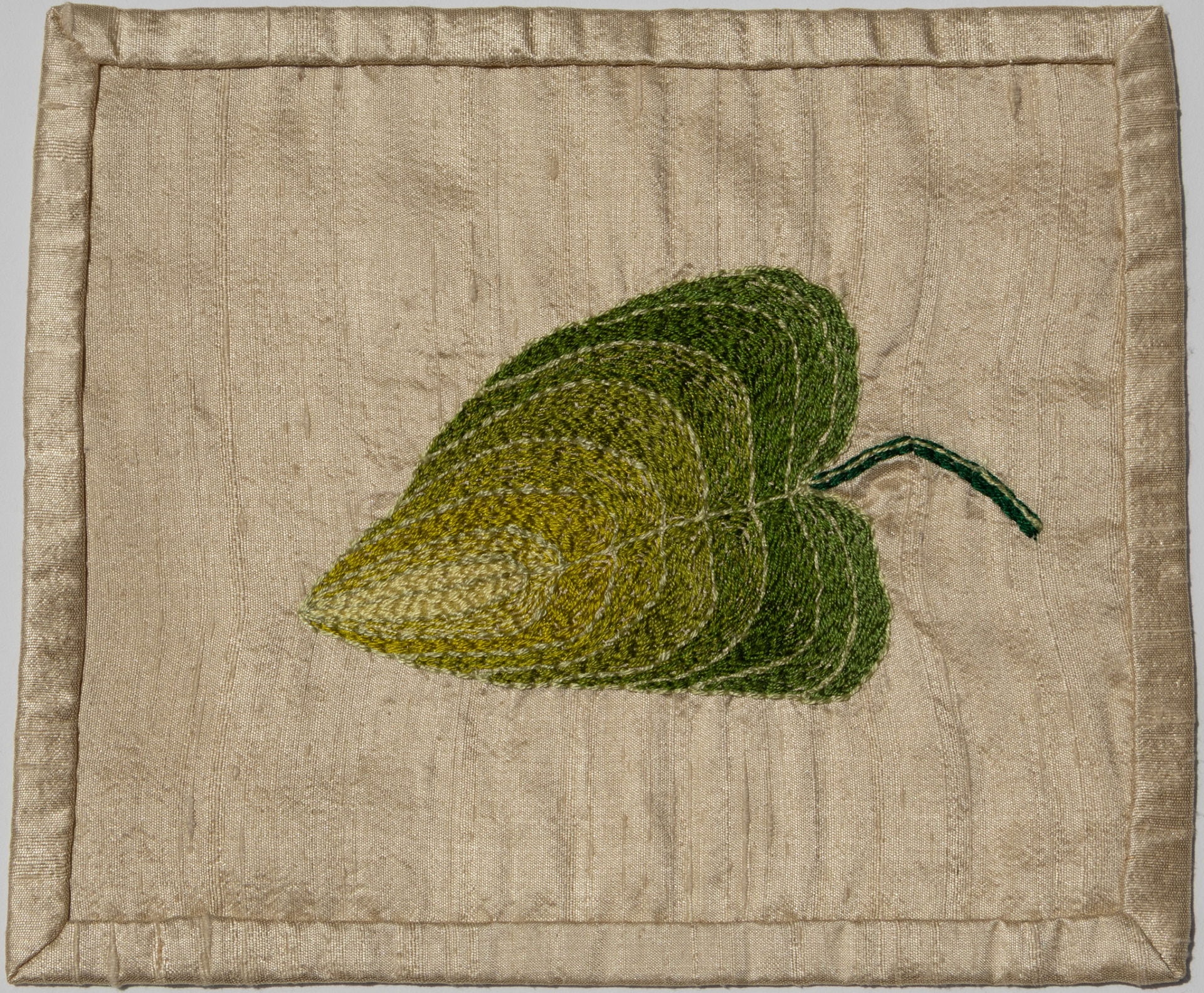 Hosta Leaf