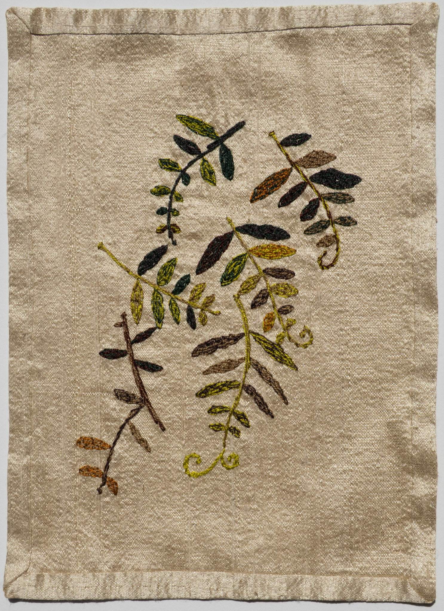 Vetch, 2024. 6 x 9 inches.