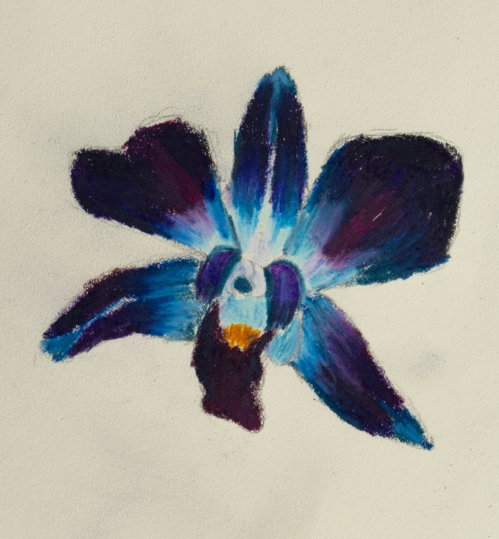 Orchid, 2025. 4 x 4 inches.