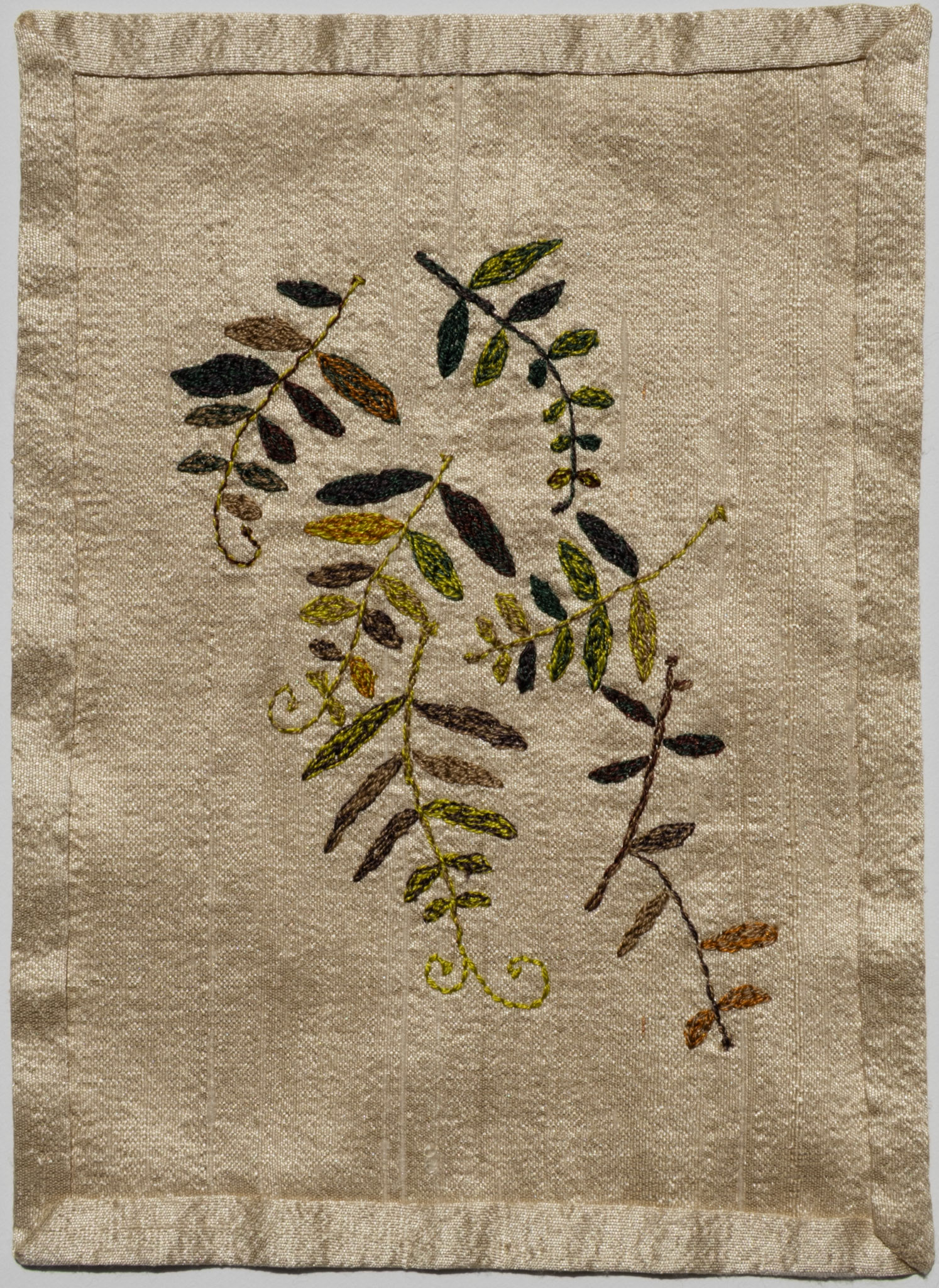 Vetch