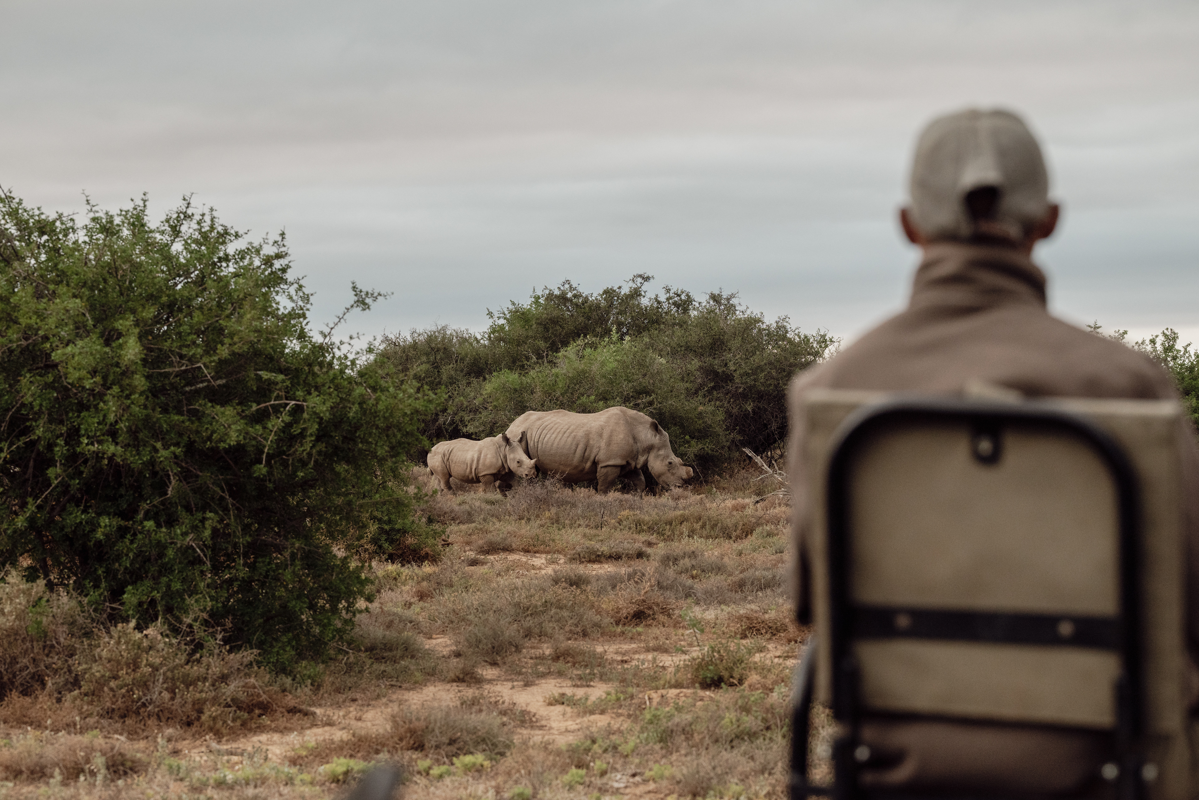 Samara Karoo Reserve - SOUTH AFRICA