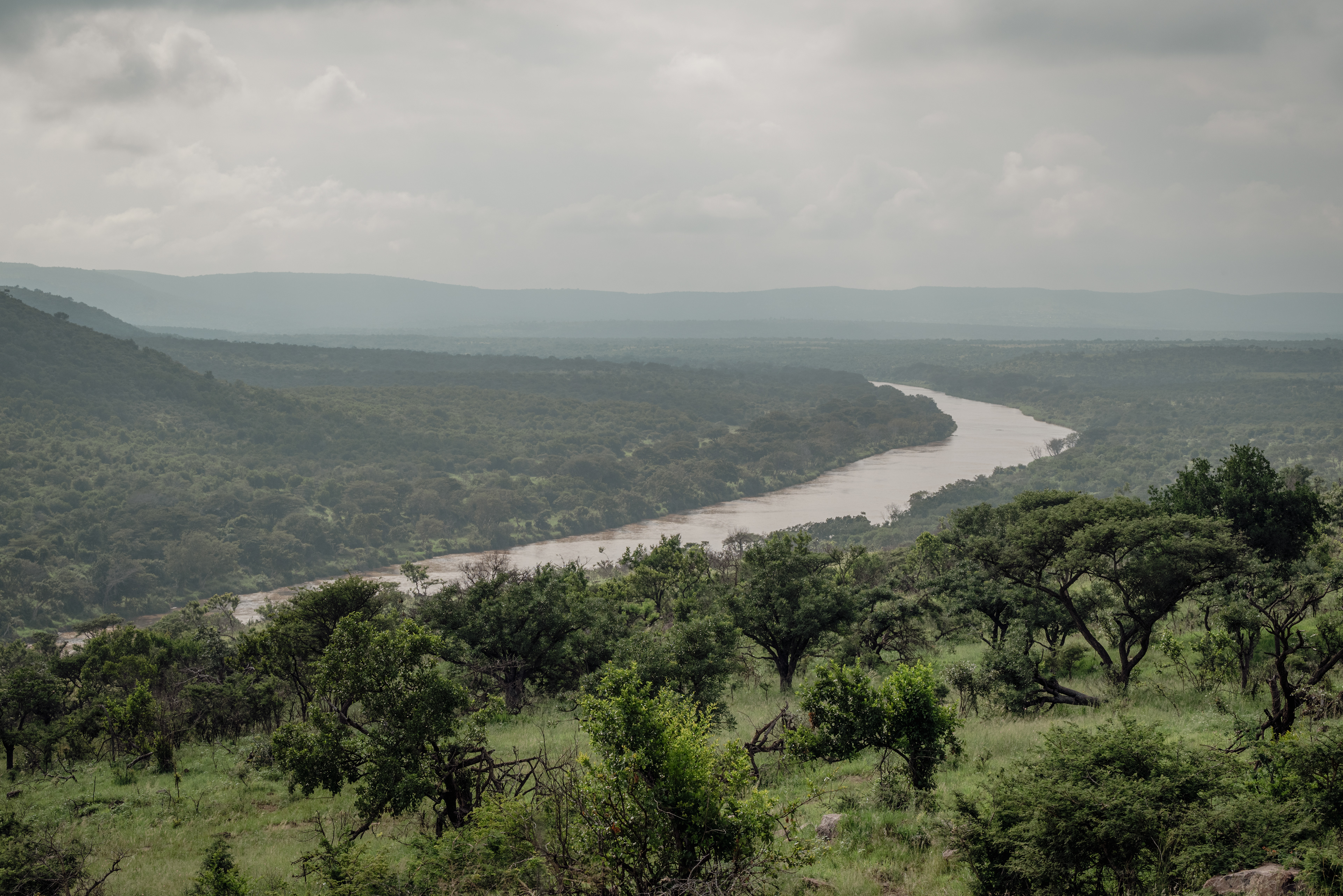 Mfulawosi Wilderness - Private Game Reserve - SOUTH AFRICA