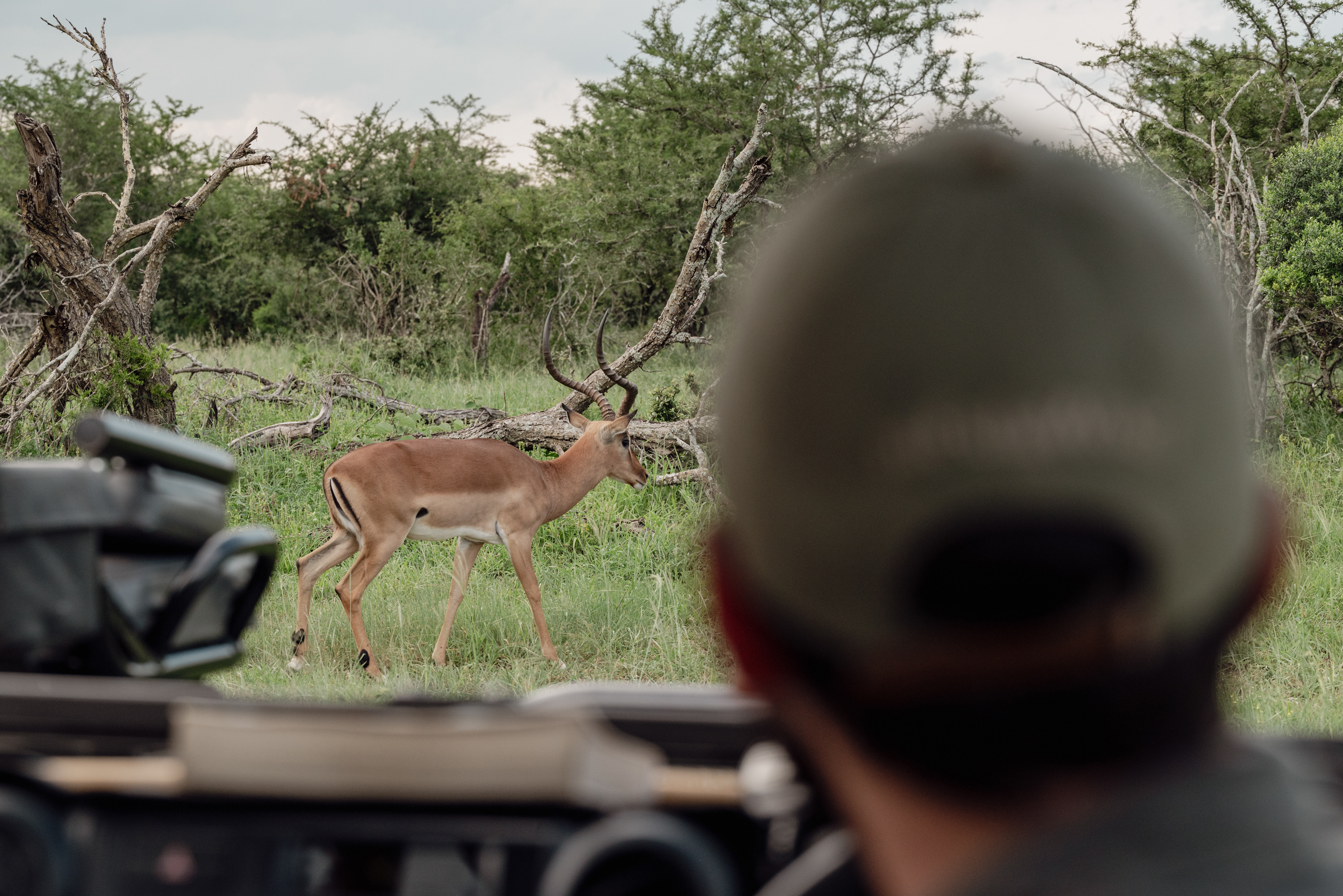 Mfulawosi Wilderness - Private Game Reserve - SOUTH AFRICA