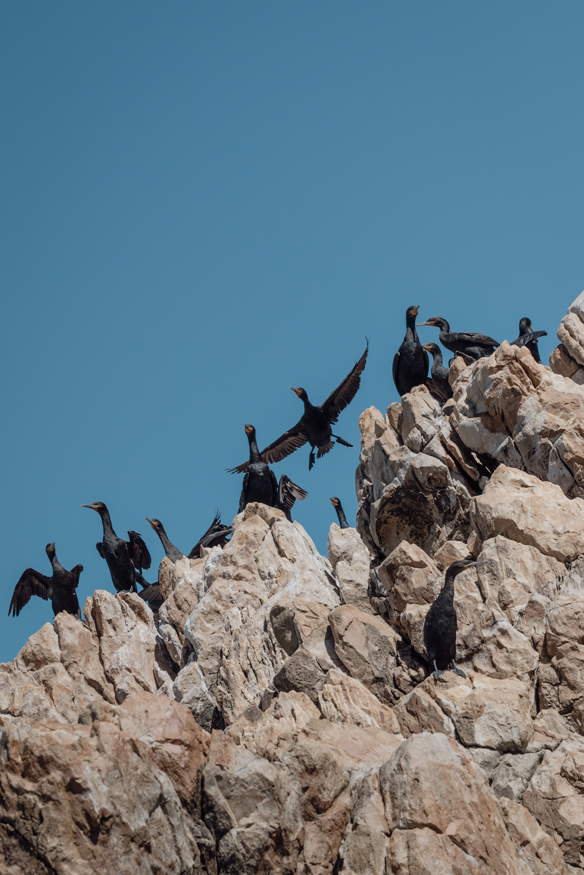 Knysna Lagoon - SOUTH AFRICA