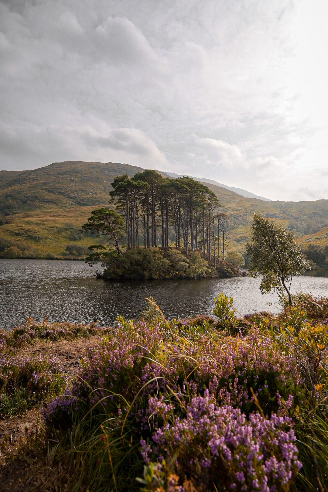 Eilean na Moine - SCOTLAND
