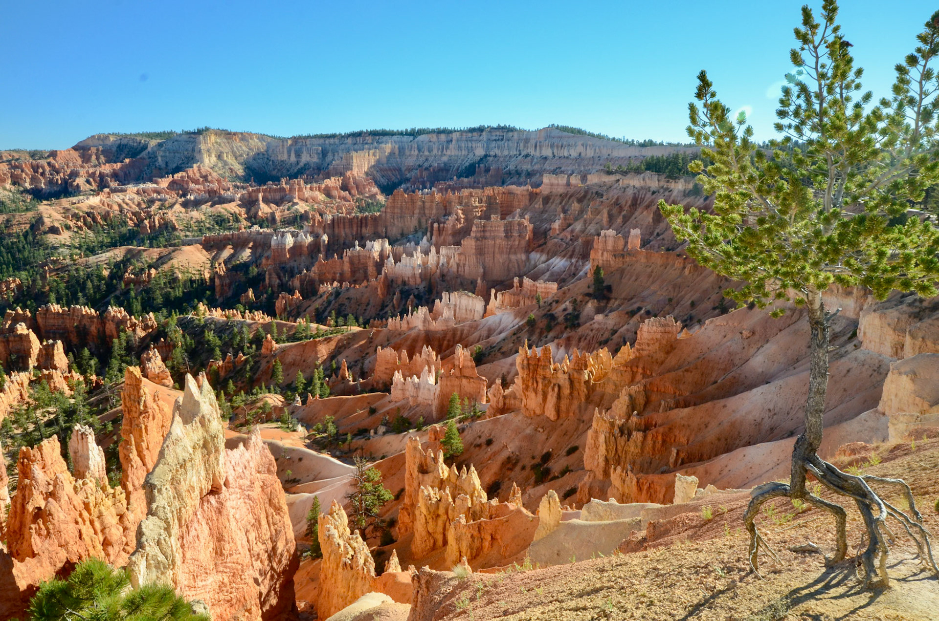 Bryce Canyon N.P.