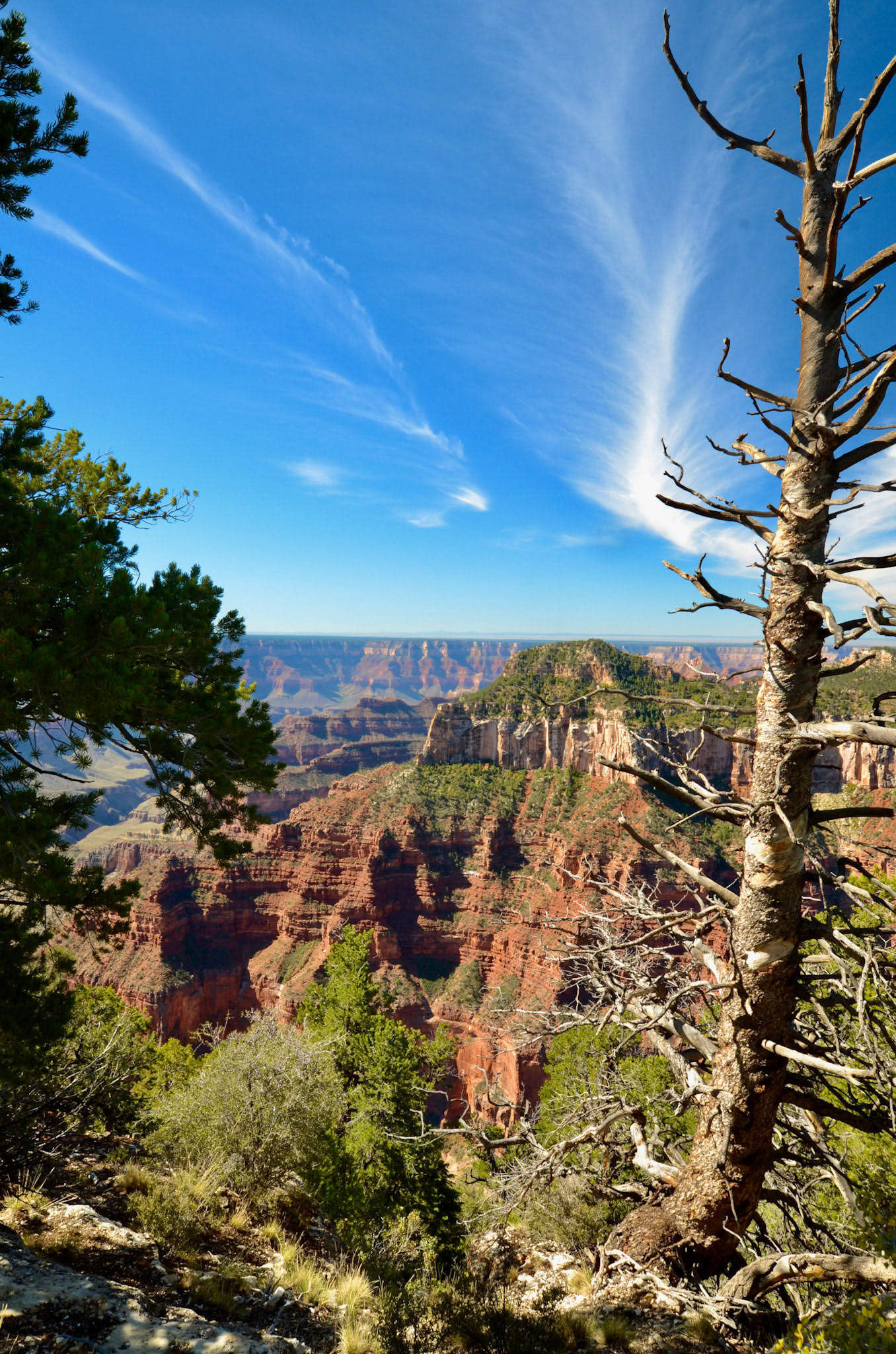 Near Grand Canyon Lodge