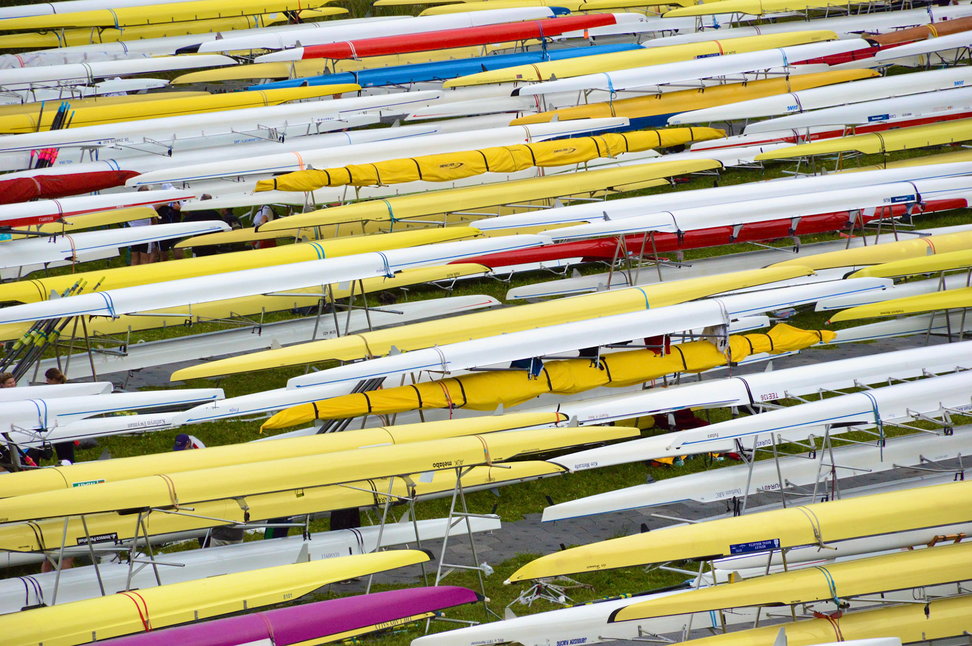 Racing Shells, Lake Bled, Slovenia
