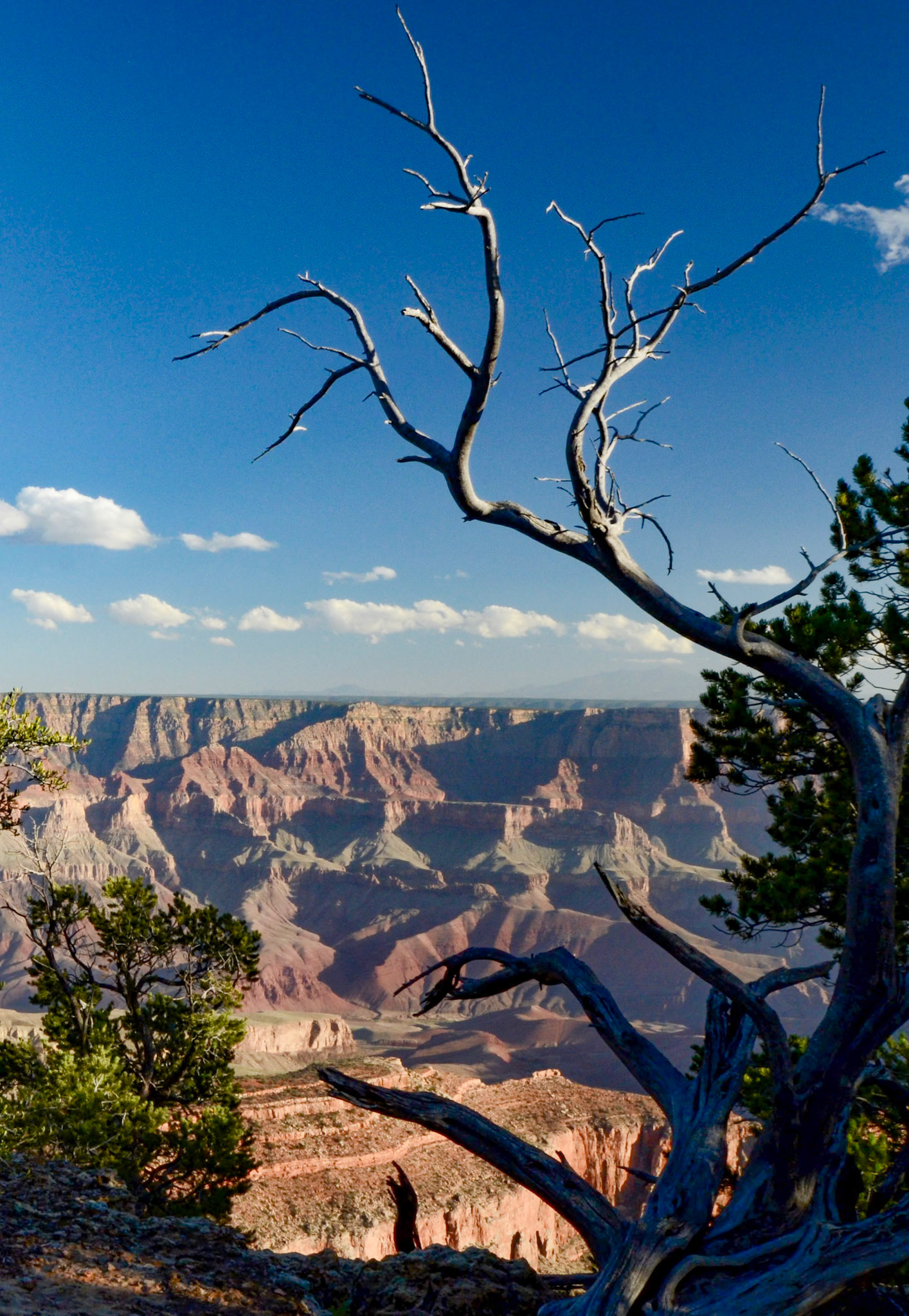 Grand Canyon North Rim
